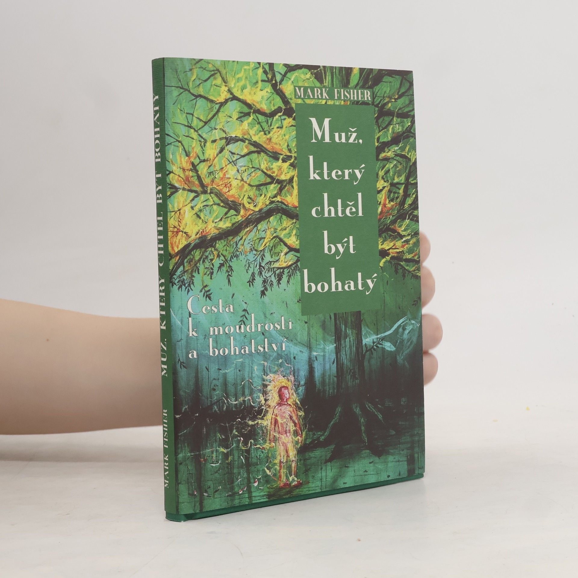 Mark Fisher Muž, který chtěl být bohatý