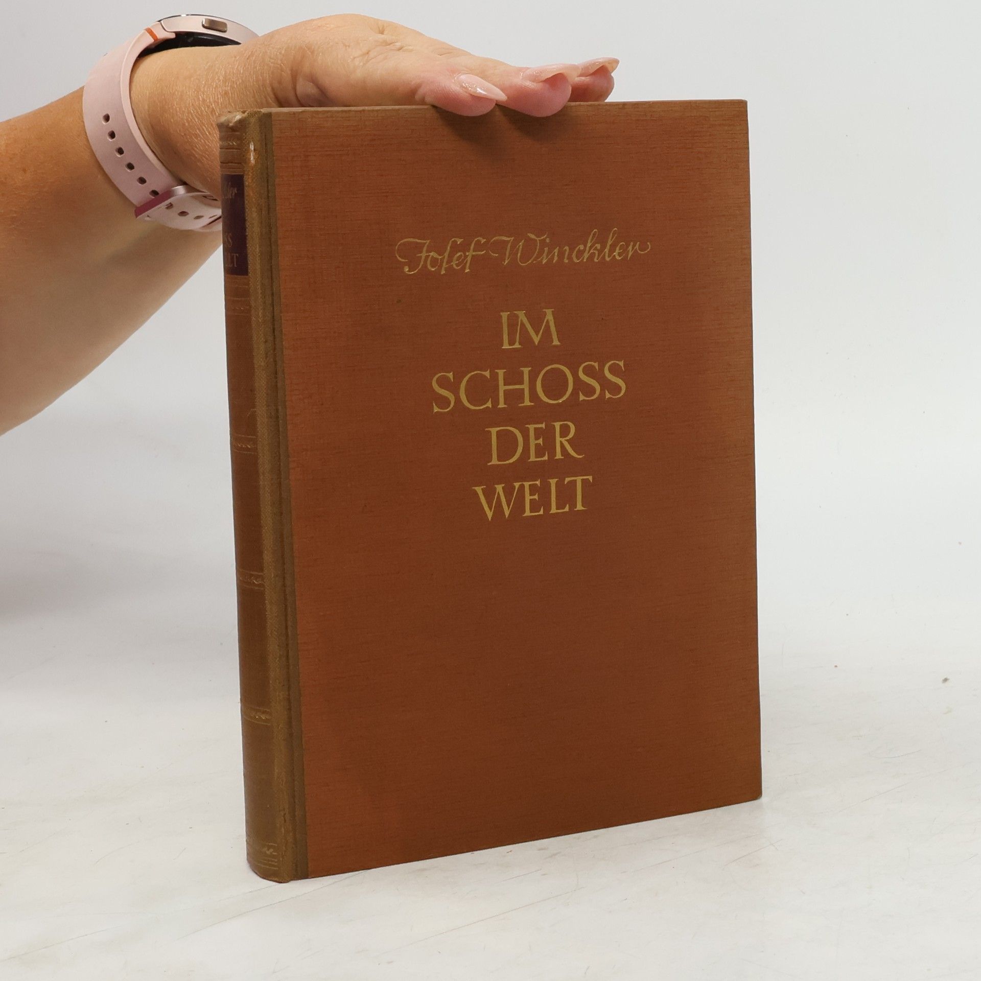 Im schoss der Welt