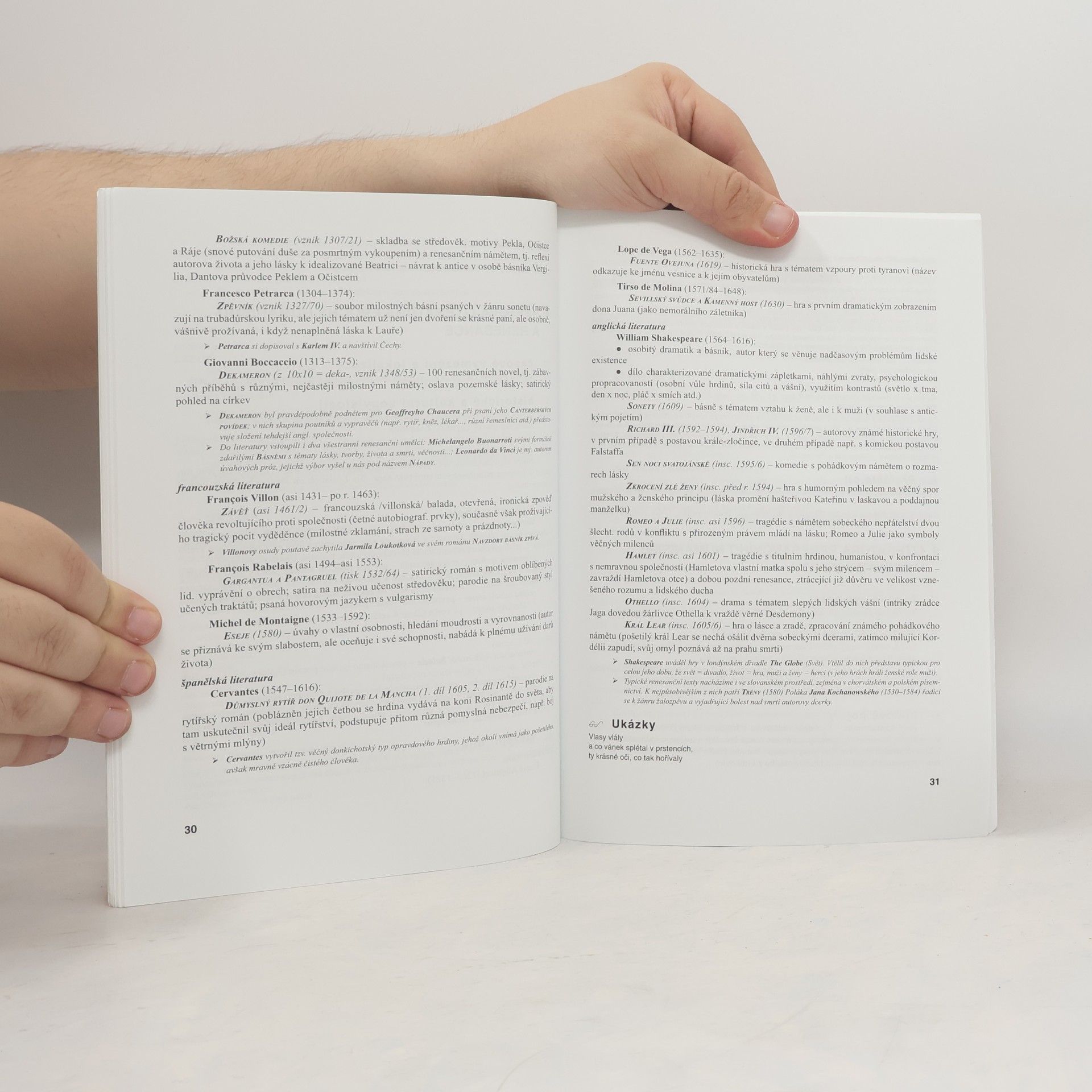 Michaela Hashemi Literatura v souvislostech