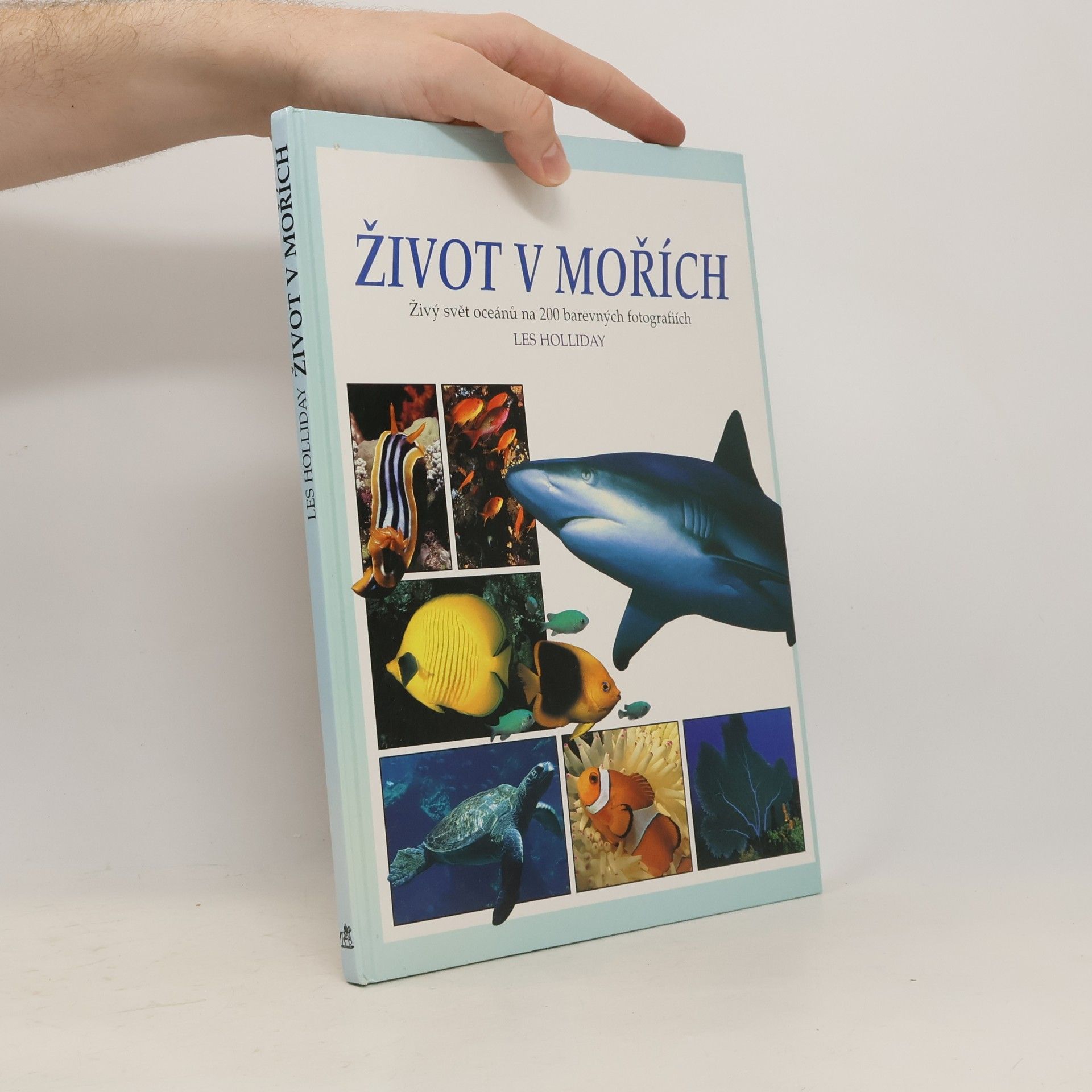 Romana Anděrová Život v mořích
