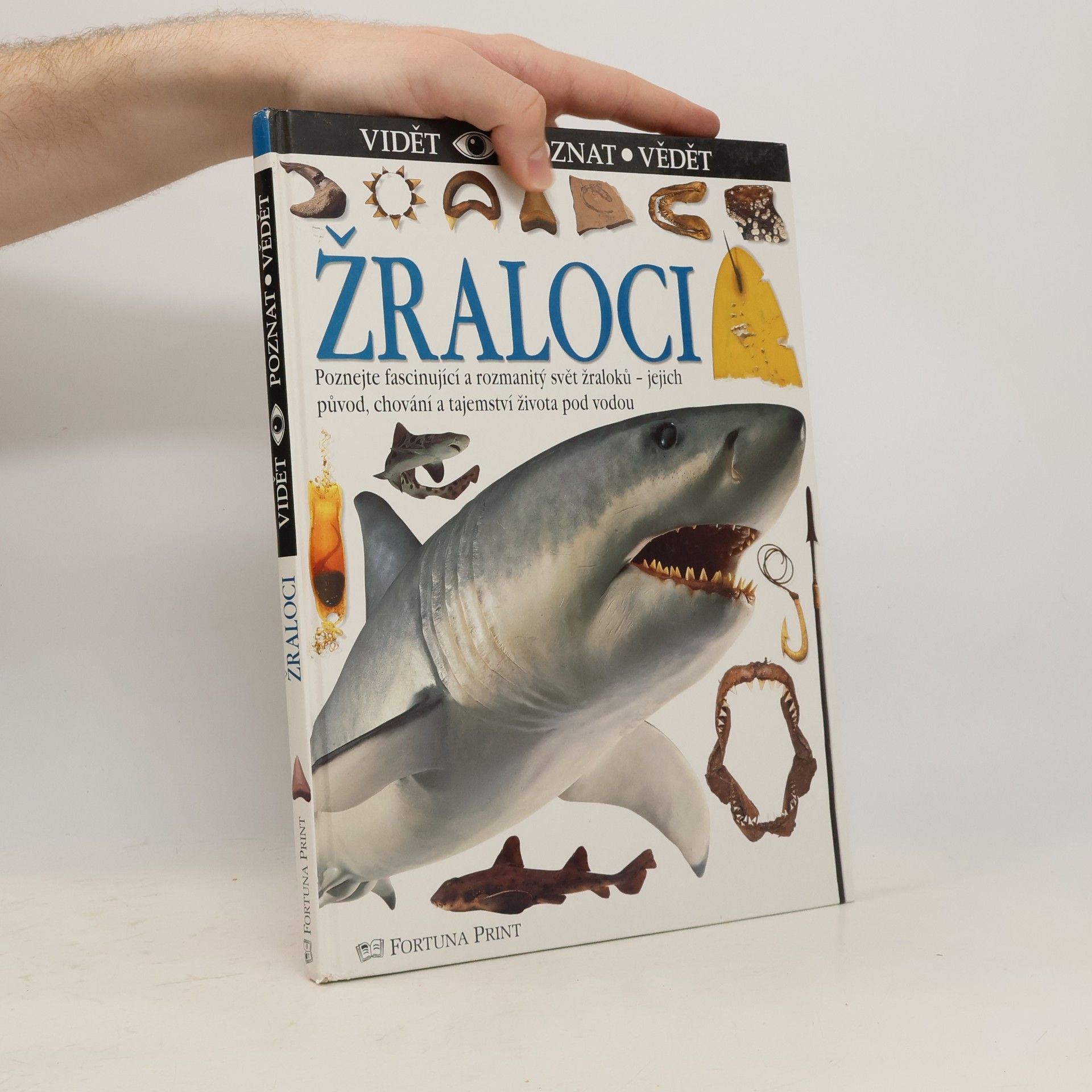 Žraloci