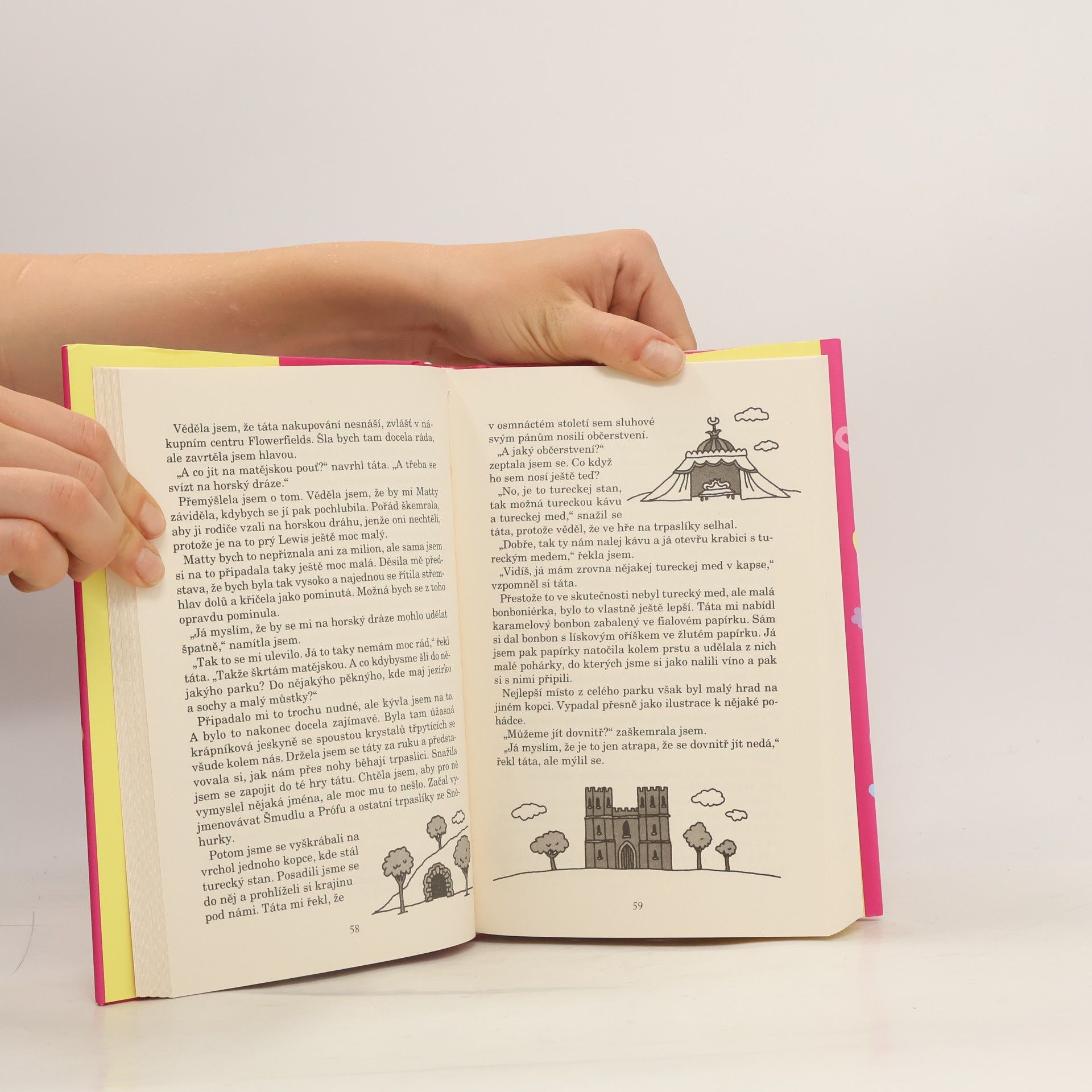 Jacqueline Wilson Družička k pronájmu