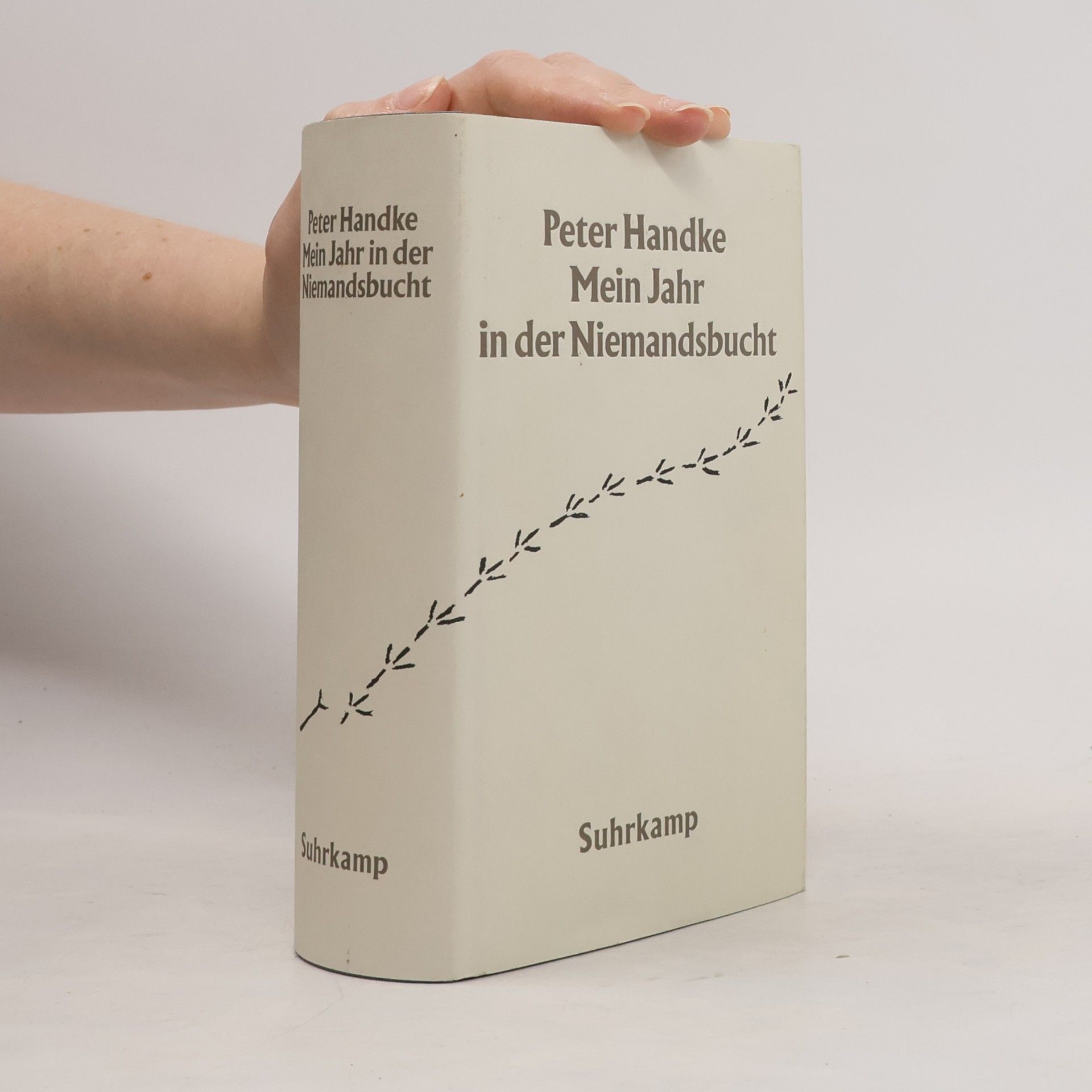 Peter Handke Mein Jahr in der Niemandsbucht