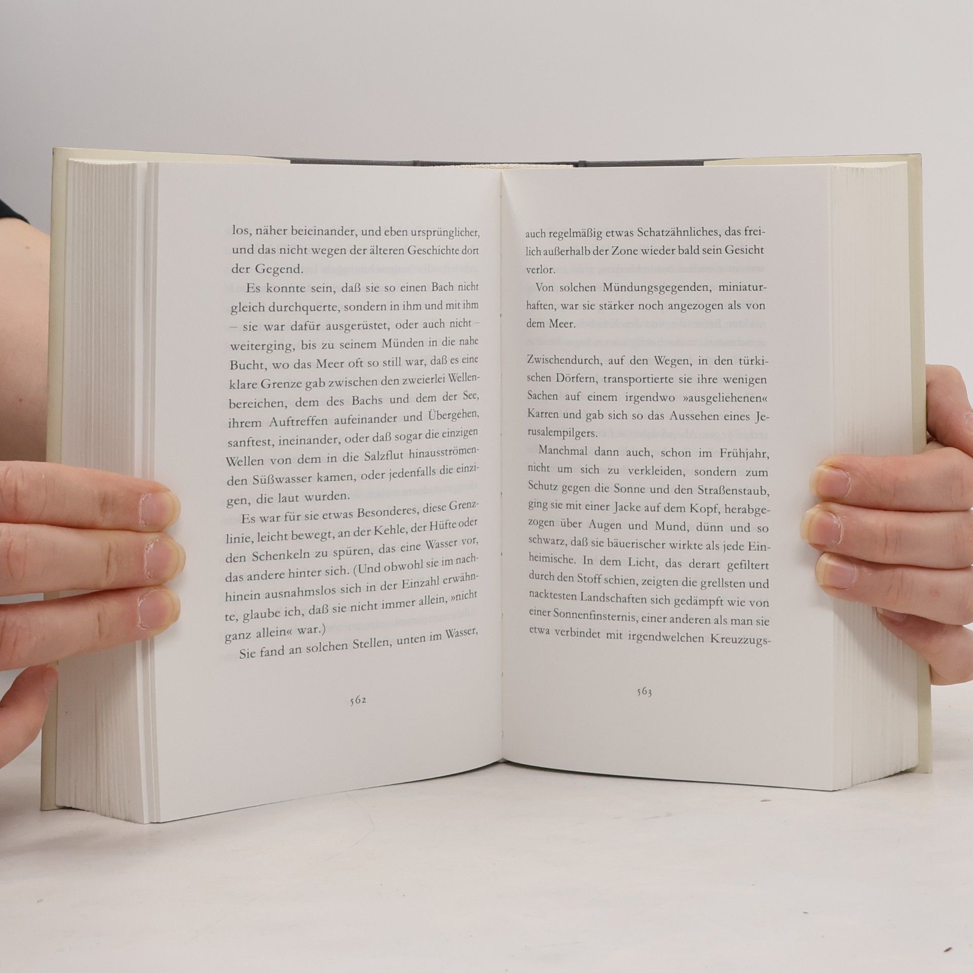 Peter Handke Mein Jahr in der Niemandsbucht