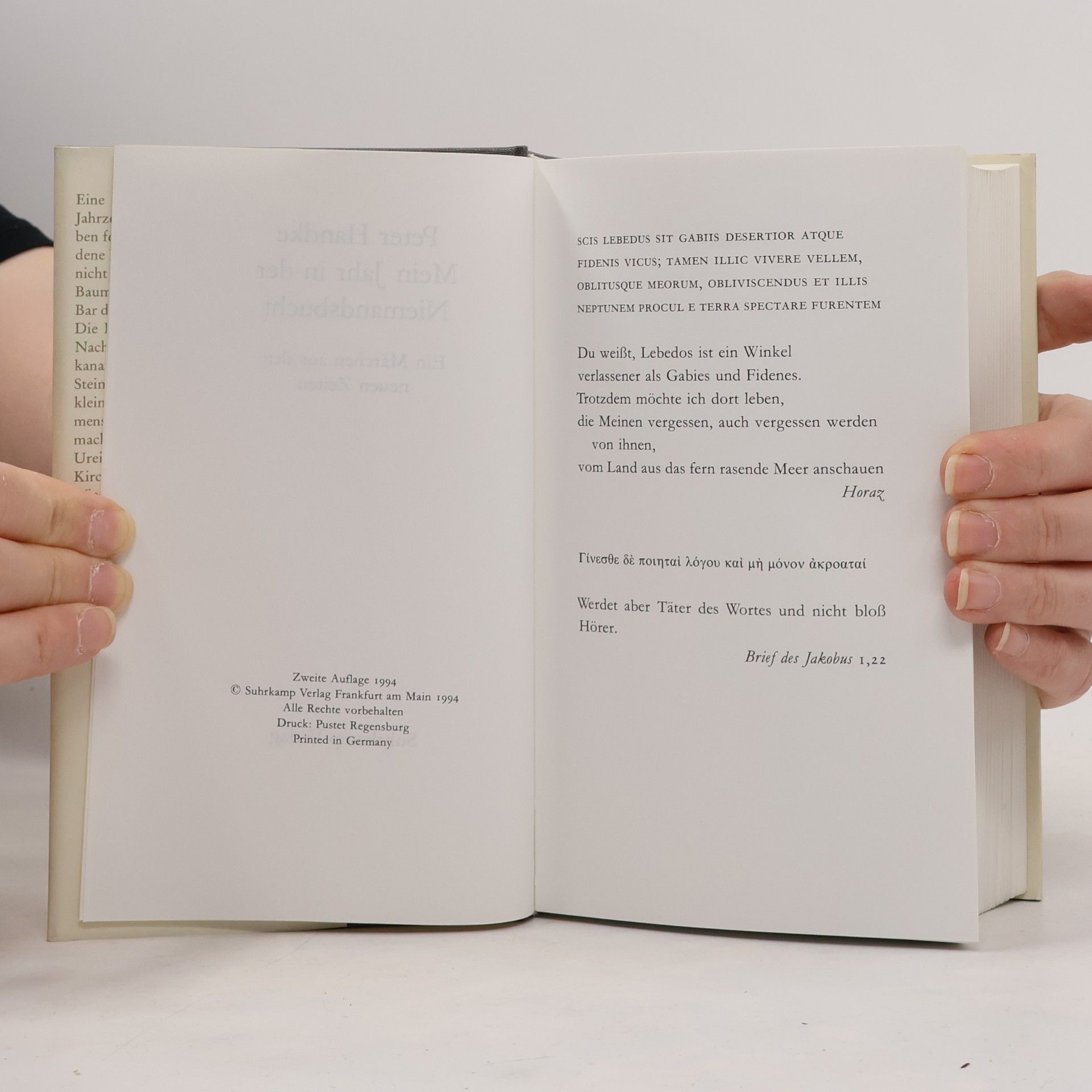 Peter Handke Mein Jahr in der Niemandsbucht