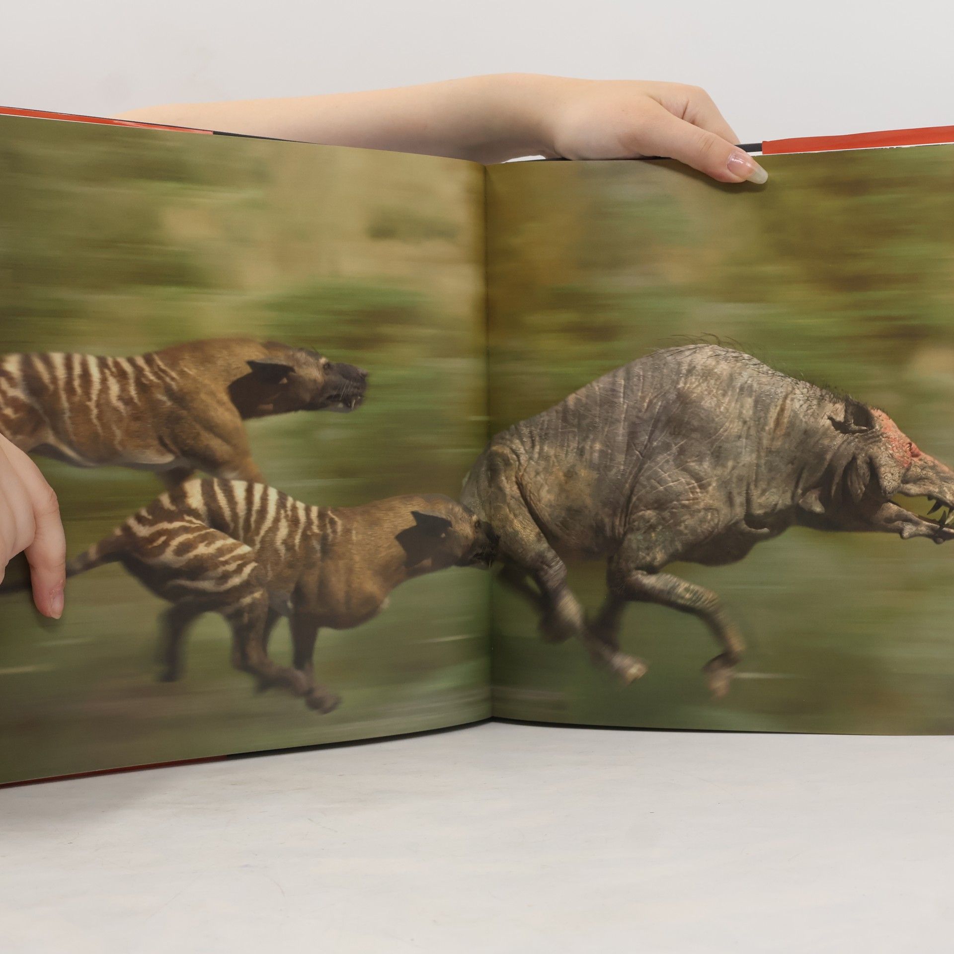 Tim Haines Putování s pravěkými zvířaty. Prehistorické safari