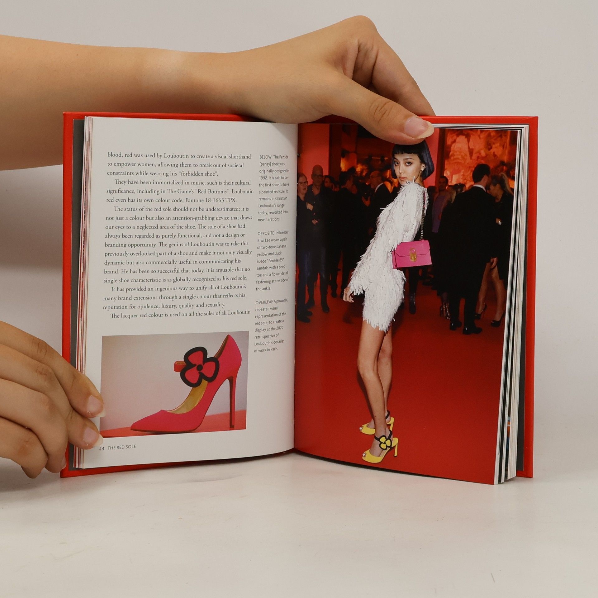 Darla-Jane Gilroy The Little Book of Christian Louboutin