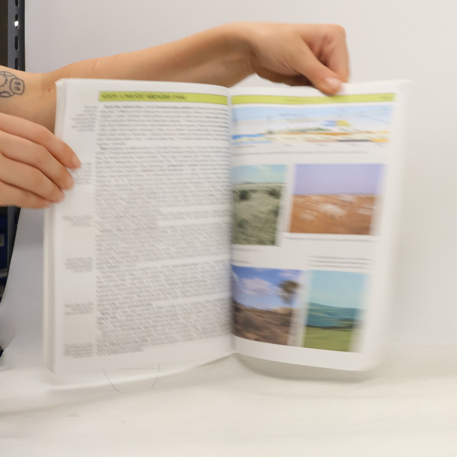 Autorenkollektiv Příroda a lidé Země. Učebnice zeměpisu pro střední školy