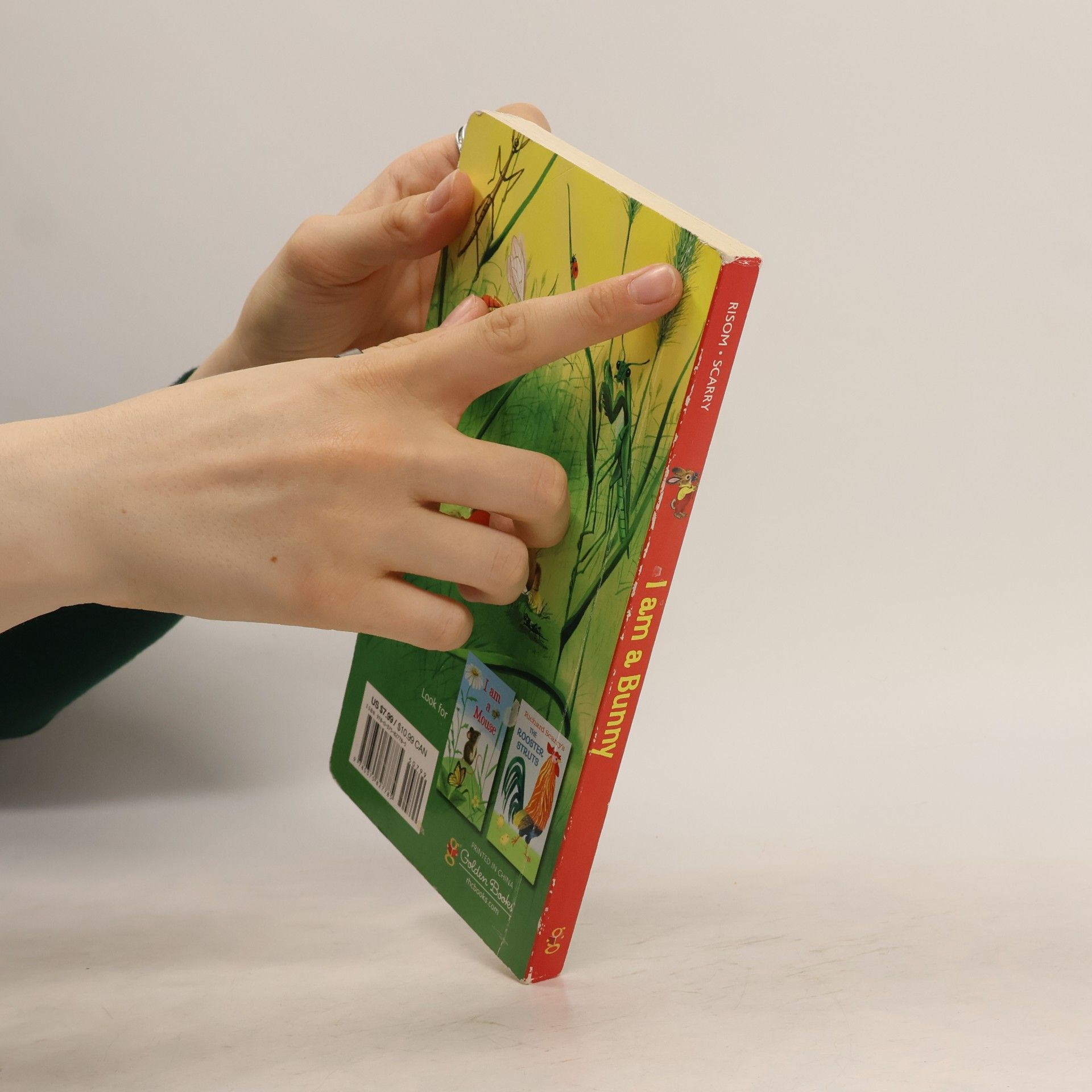 Ole Risom A Golden Sturdy Book: I Am a Bunny