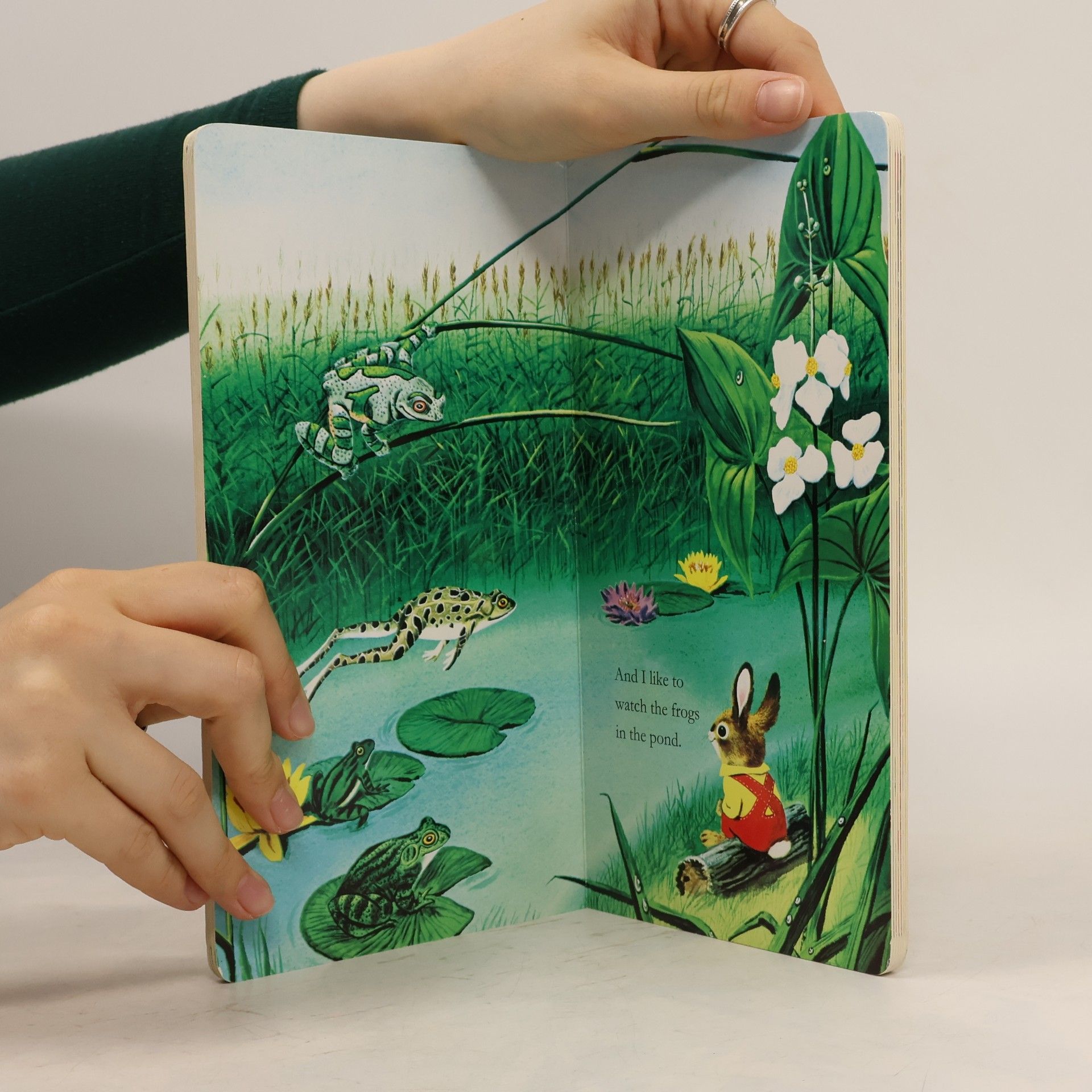 Ole Risom A Golden Sturdy Book: I Am a Bunny