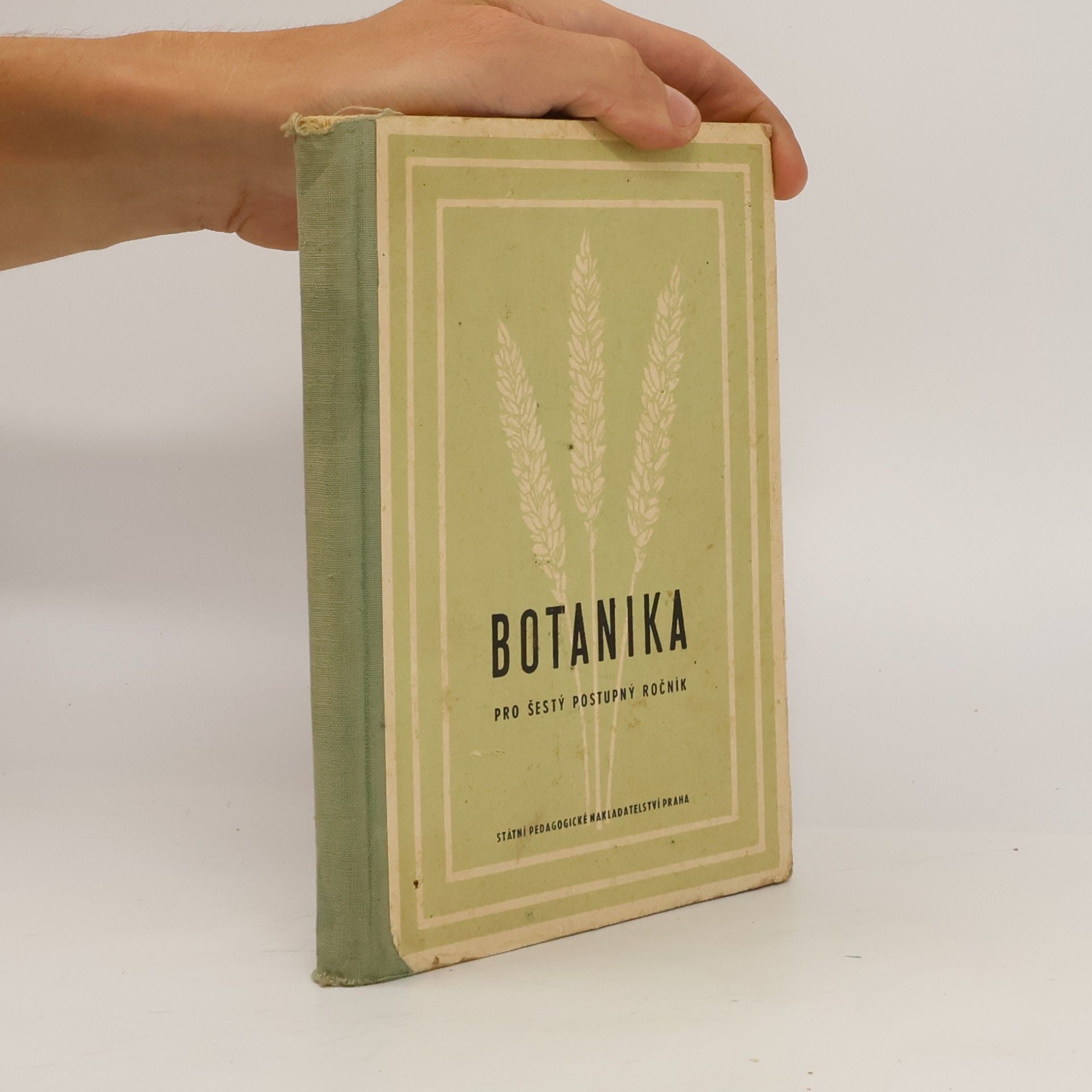 Botanika. Učebnice pro šestý postupný ročník