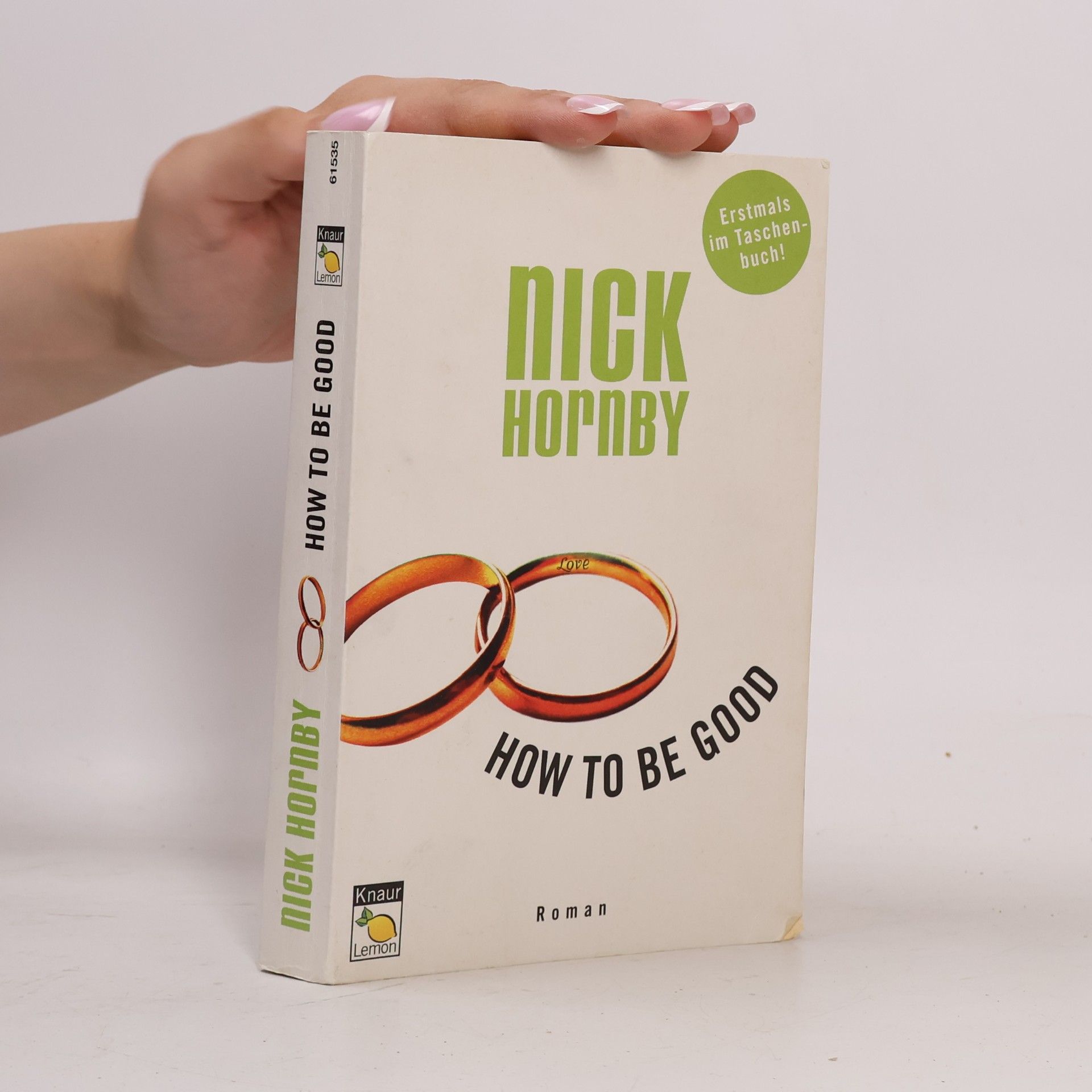 Nick Hornby How to Be Good