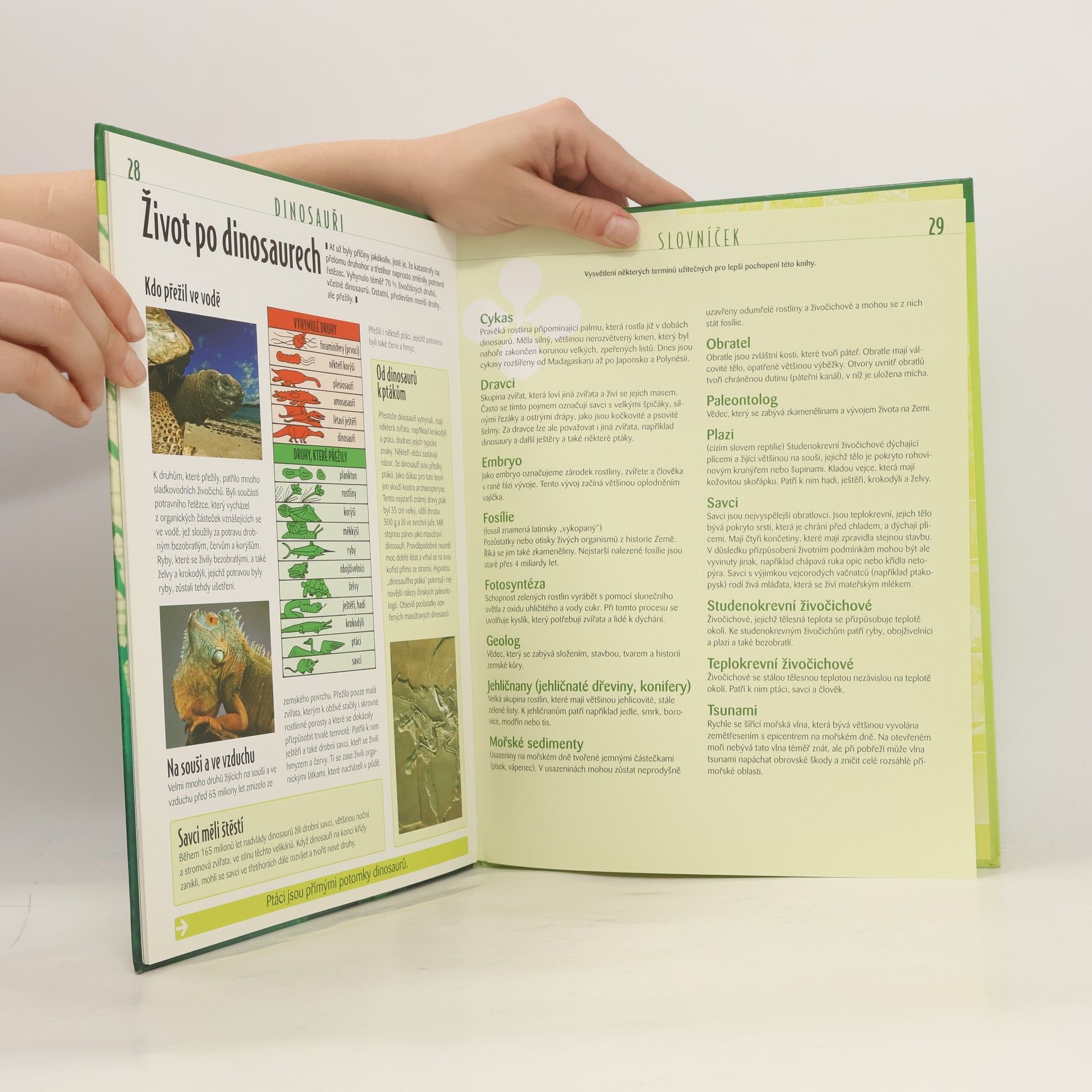 Various authors Dinosauři. Atlas pro mládež