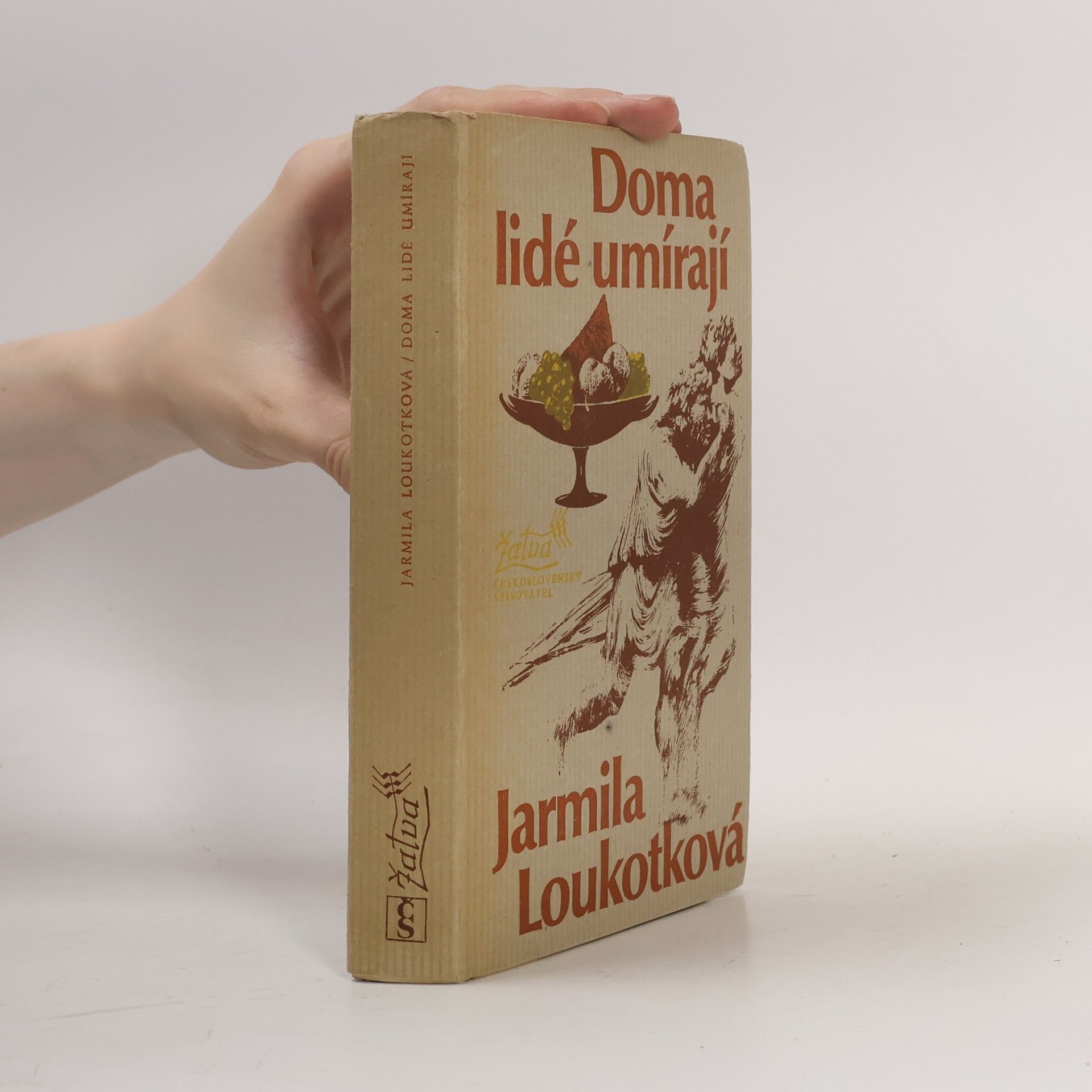 Doma lidé umírají