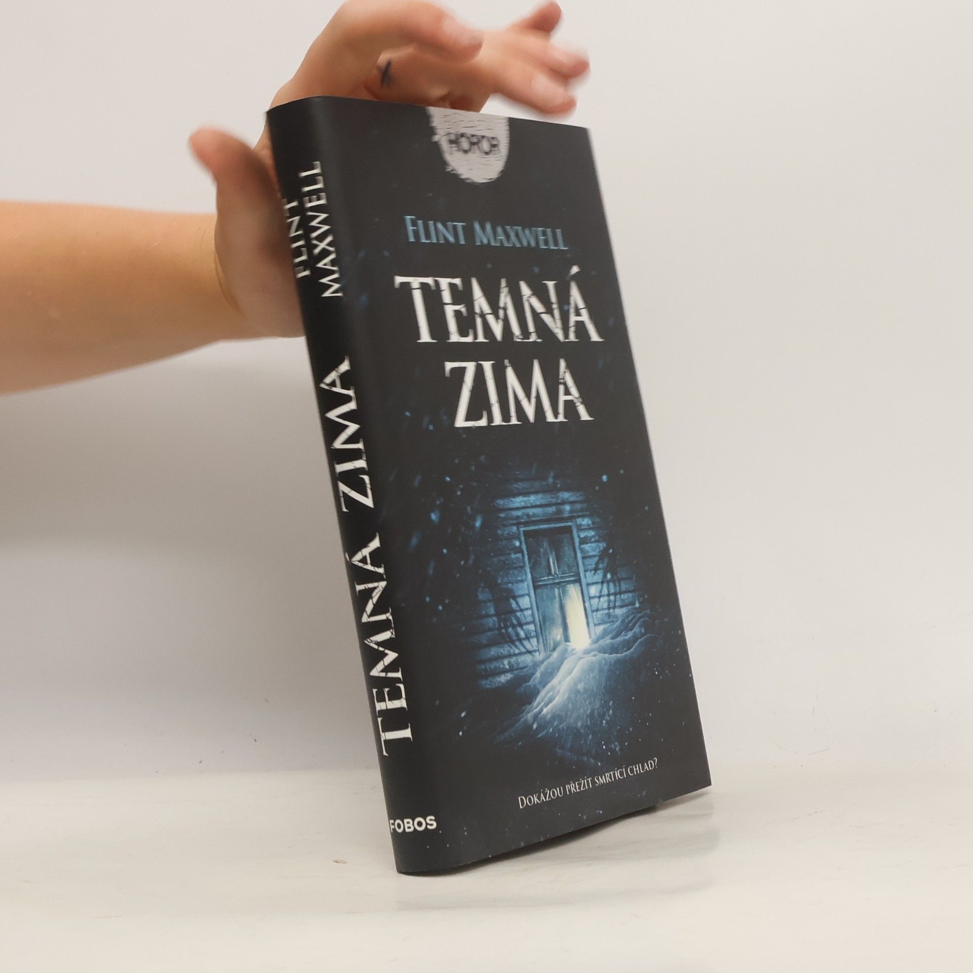 Flint Maxwell Temná zima
