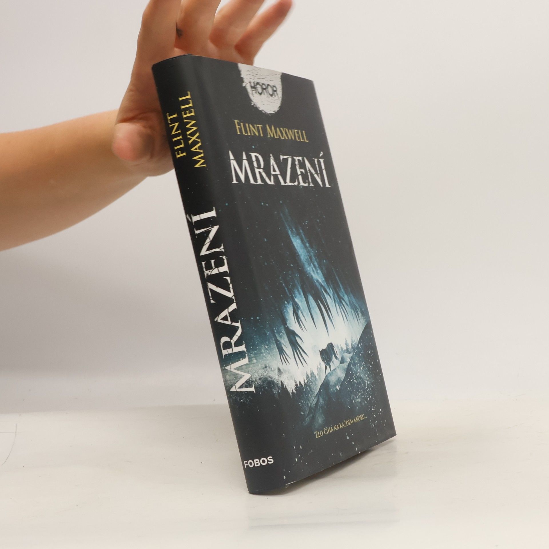 Mrazení