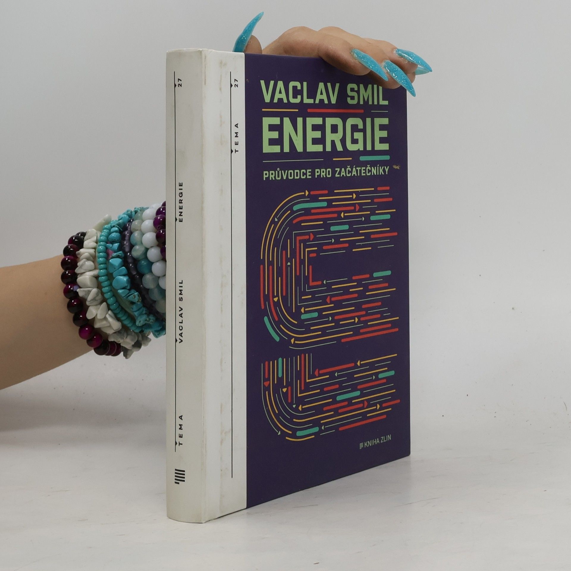 Vaclav Smil Energie