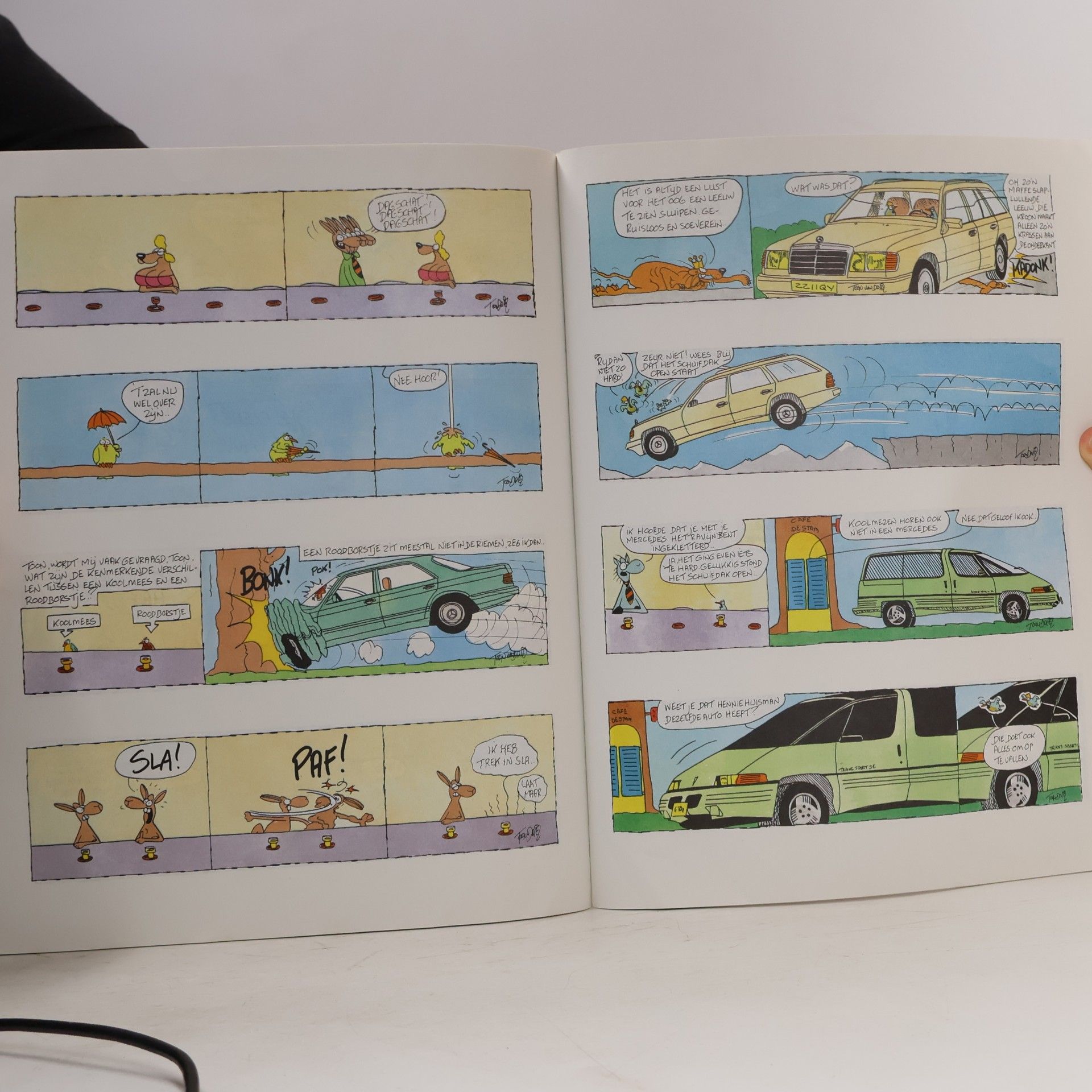 Toon van Driel De Stamgasten