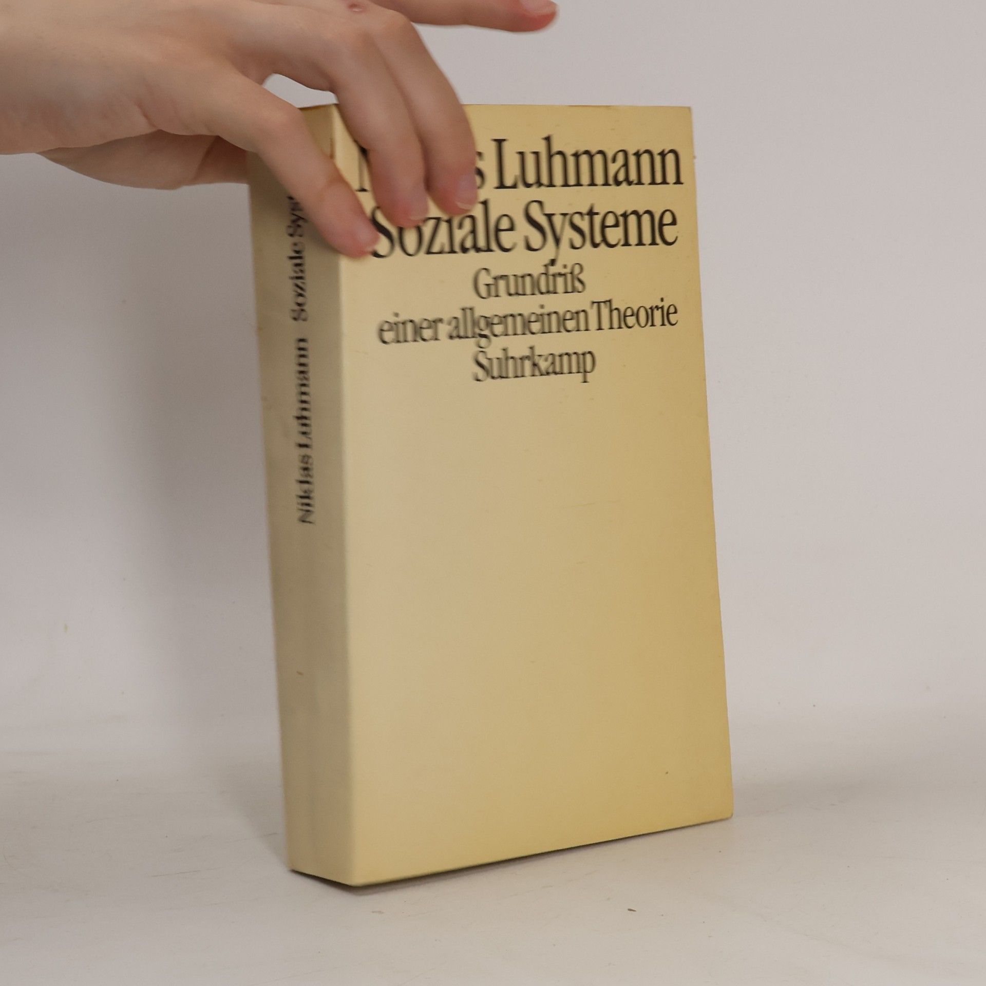 Niklas Luhmann Soziale Systeme
