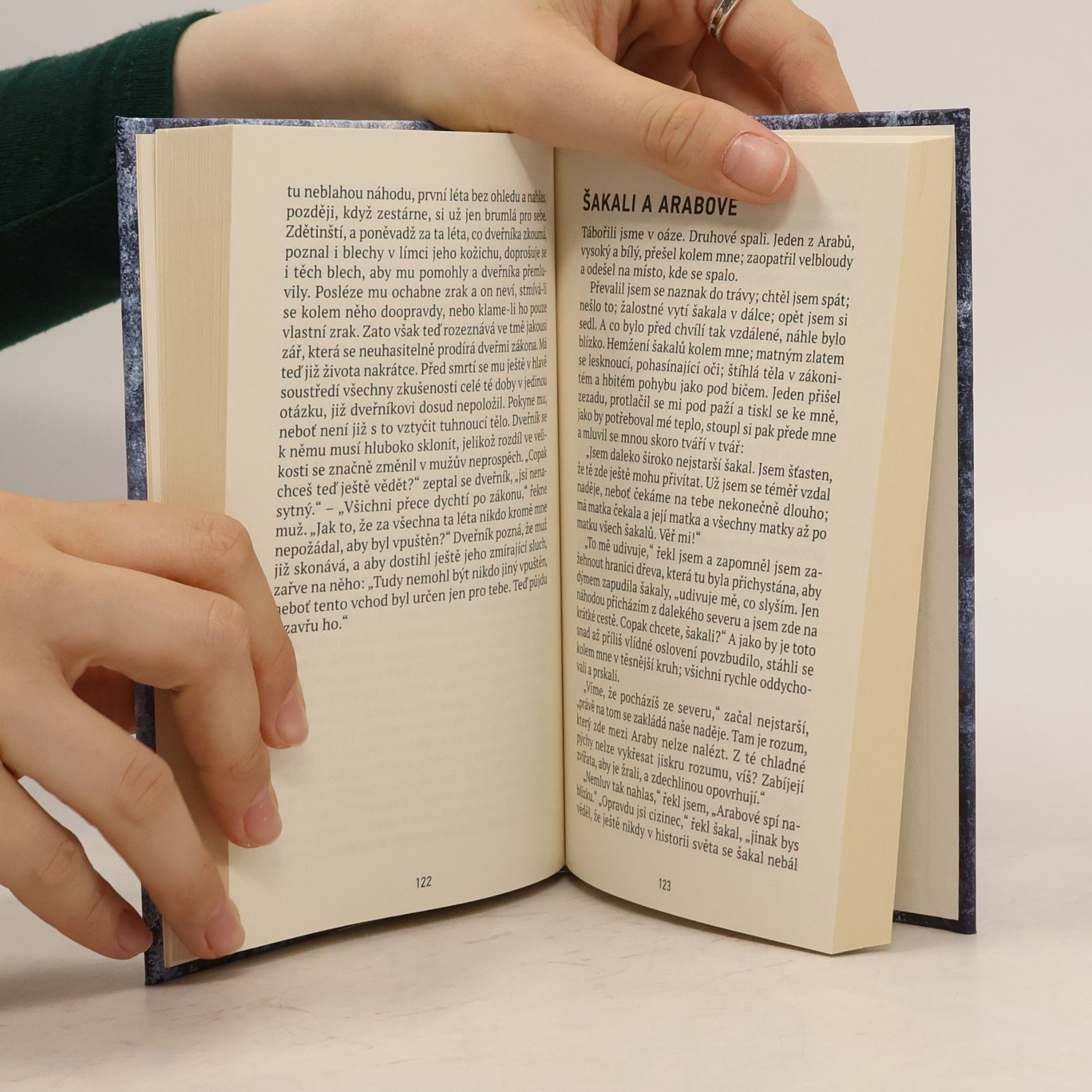 Franz Kafka Proměna a jiné povídky