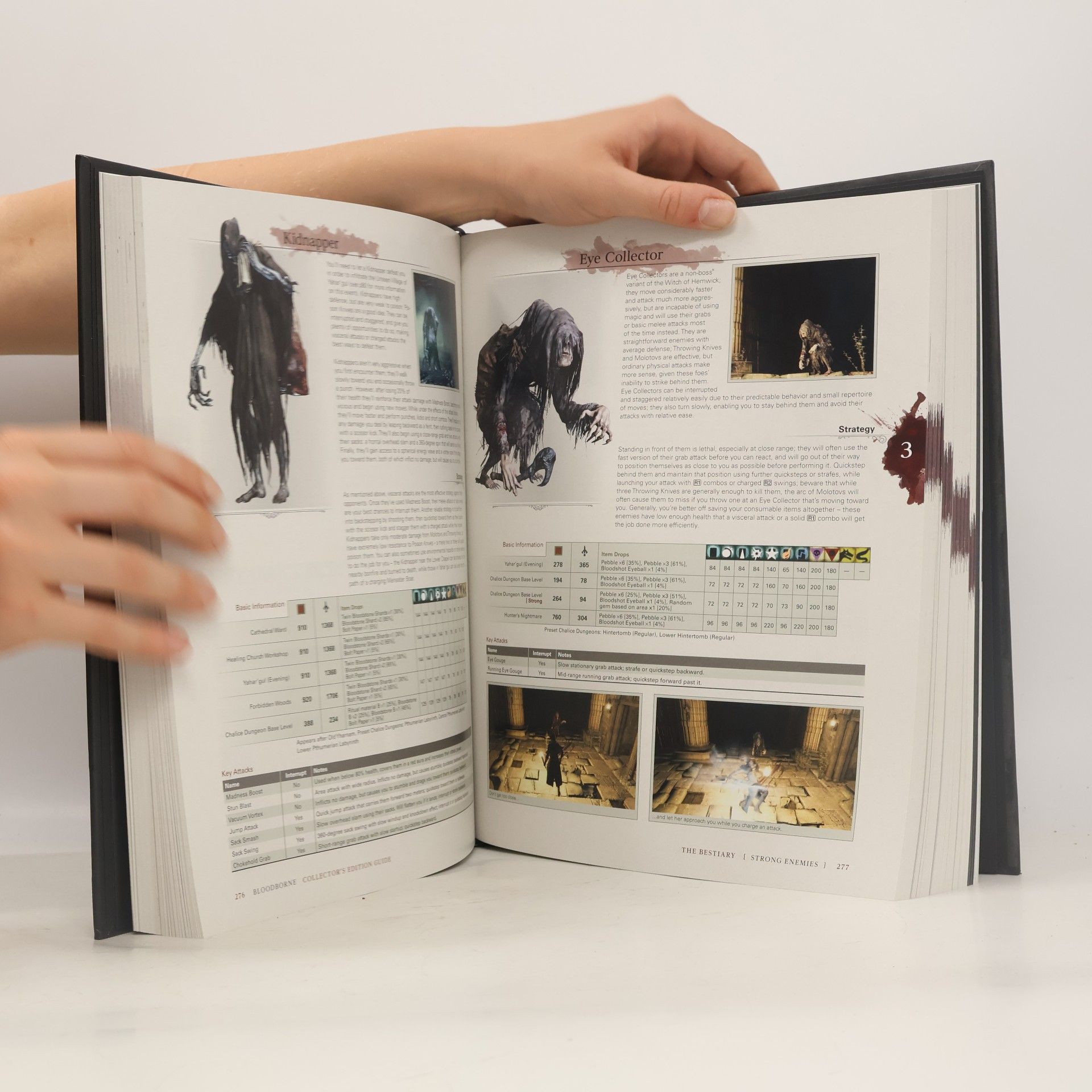Future Press Bloodborne Complete Guide 25th Anniversary Edition