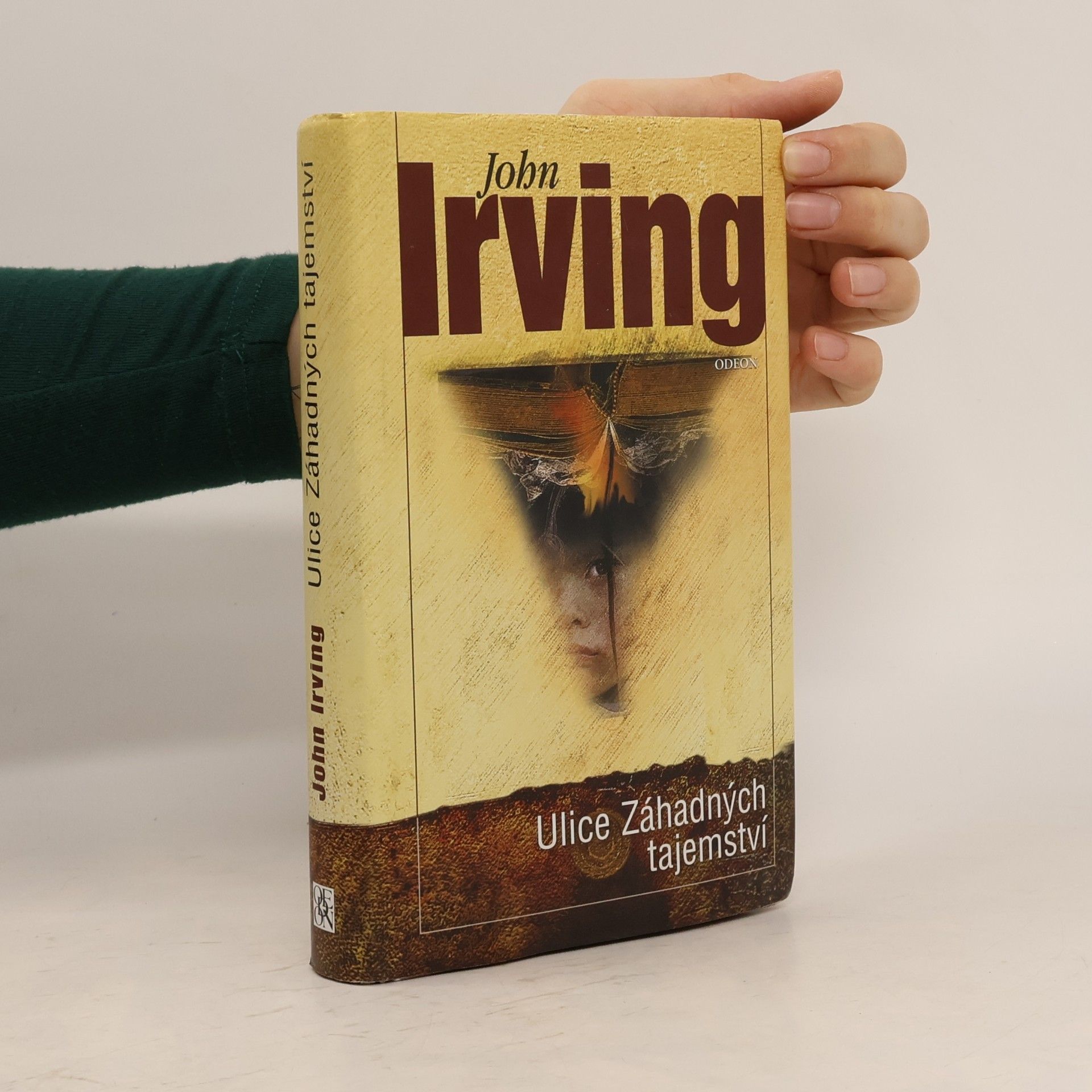 John Irving Ulice Záhadných tajemství