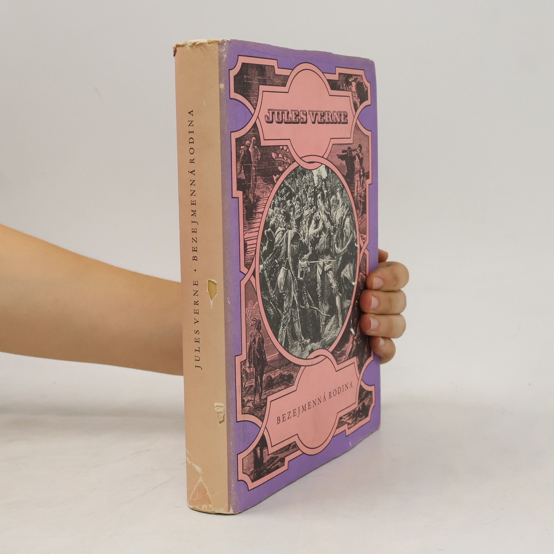 Jules Verne Bezejmenná rodina