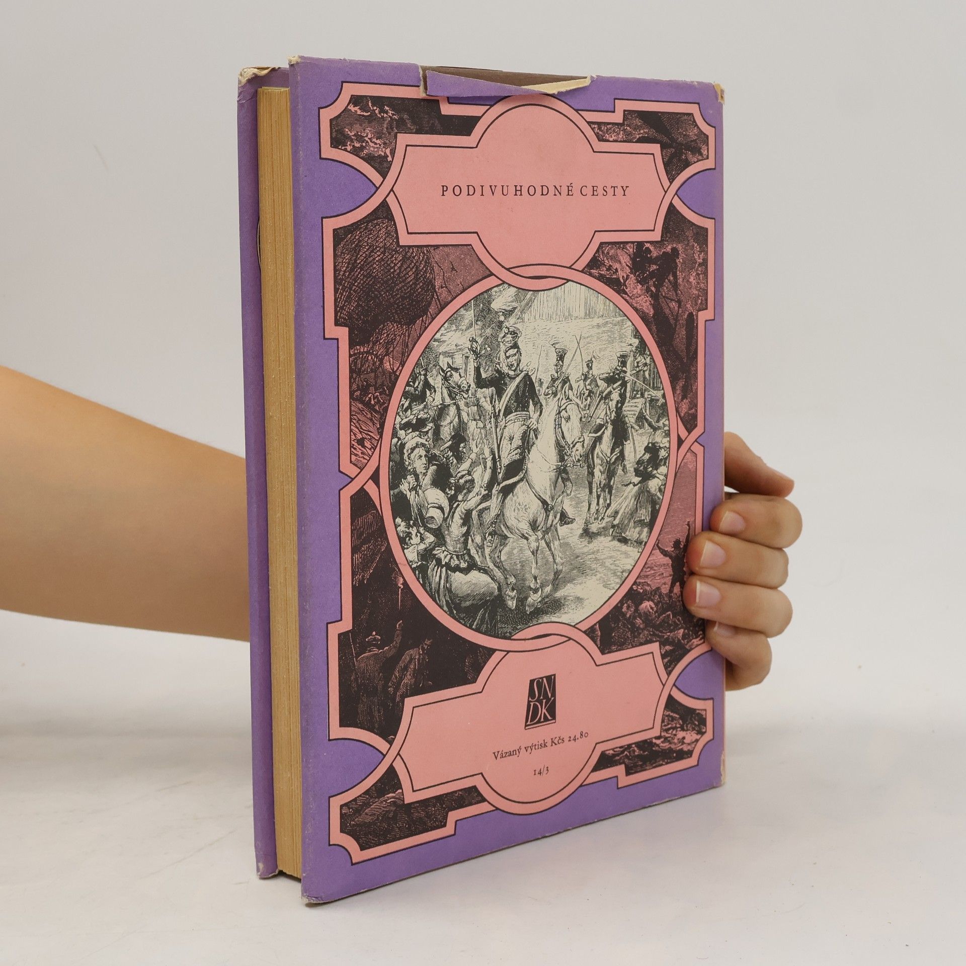 Jules Verne Bezejmenná rodina