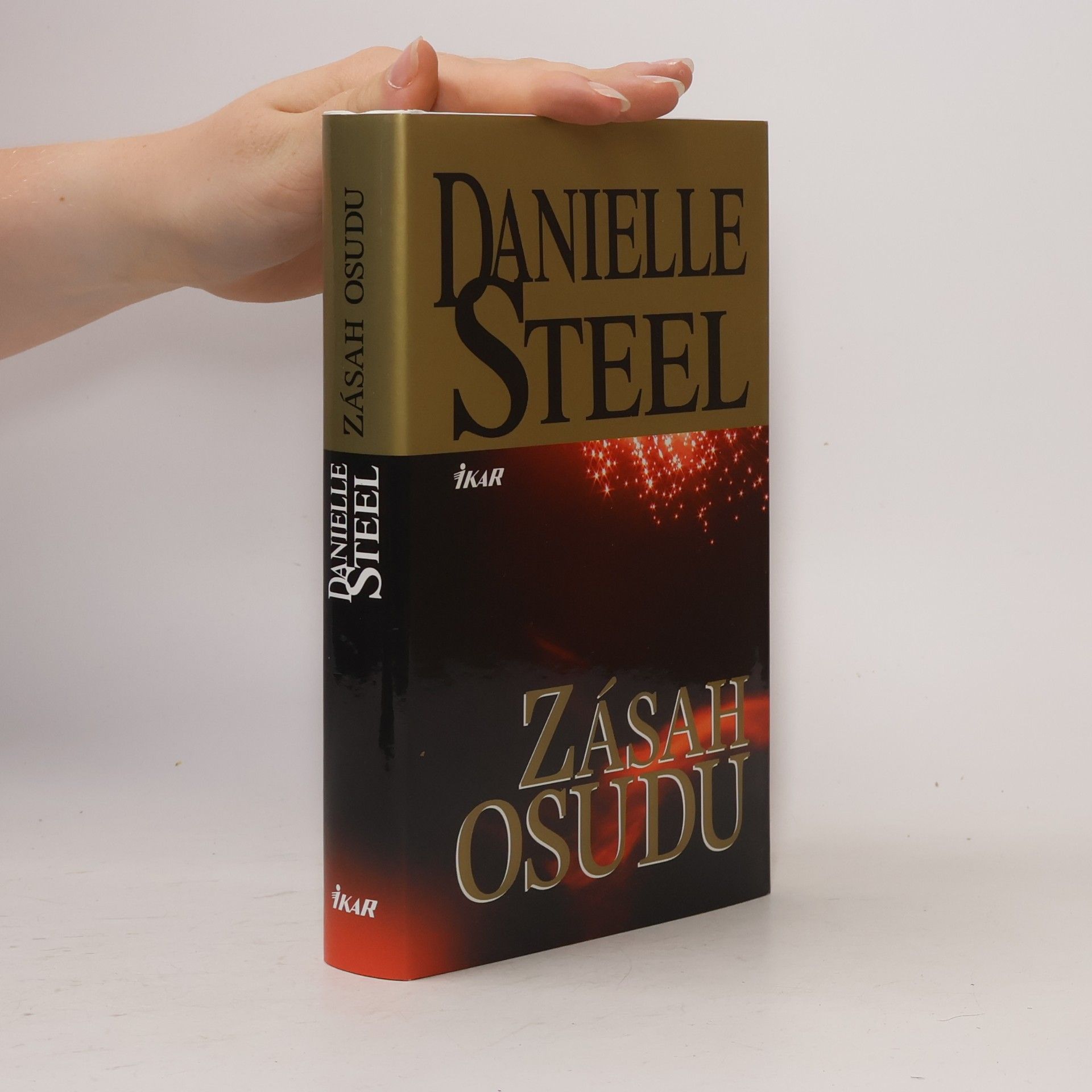 Danielle Steel Zásah osudu
