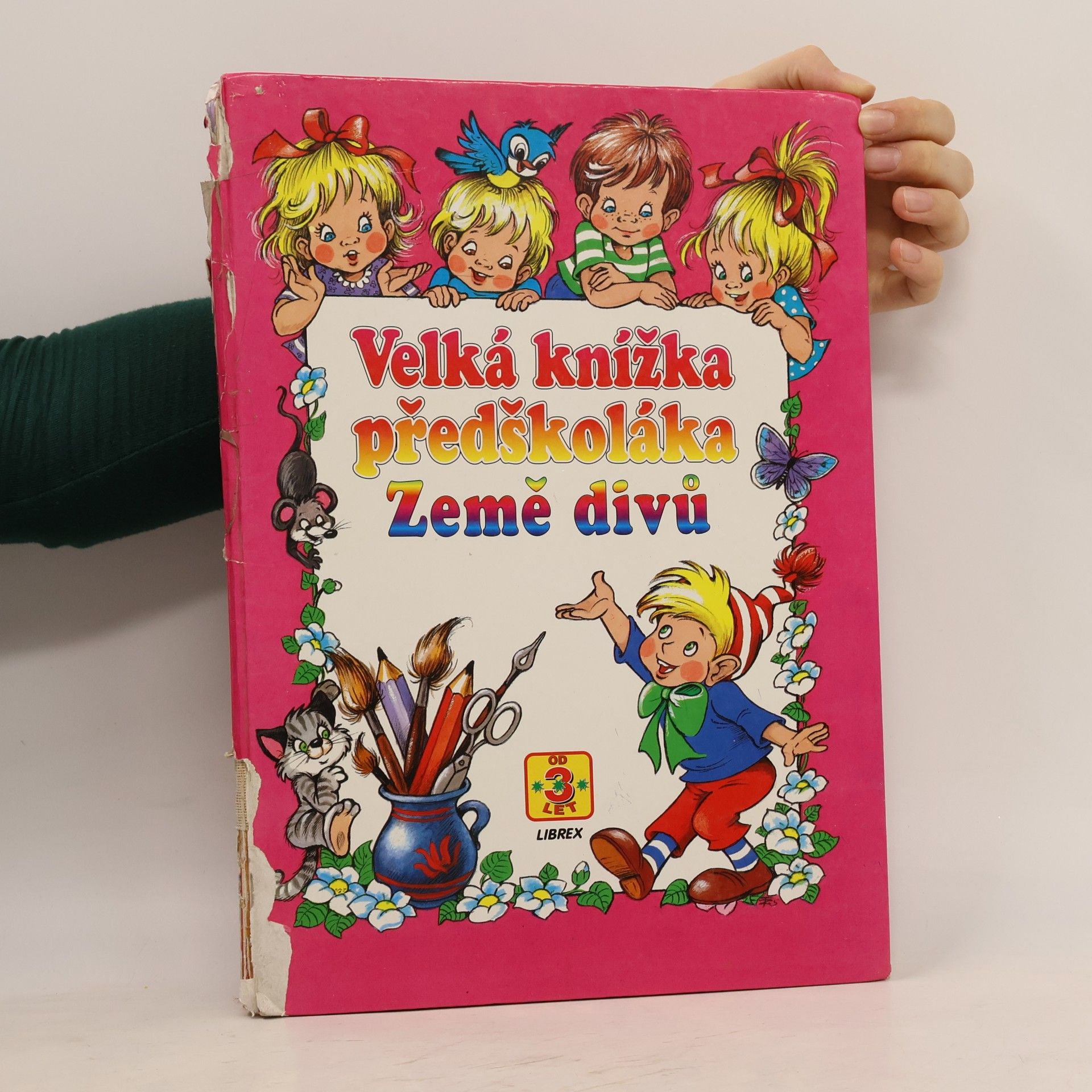Velká knížka předškoláka : země divů
