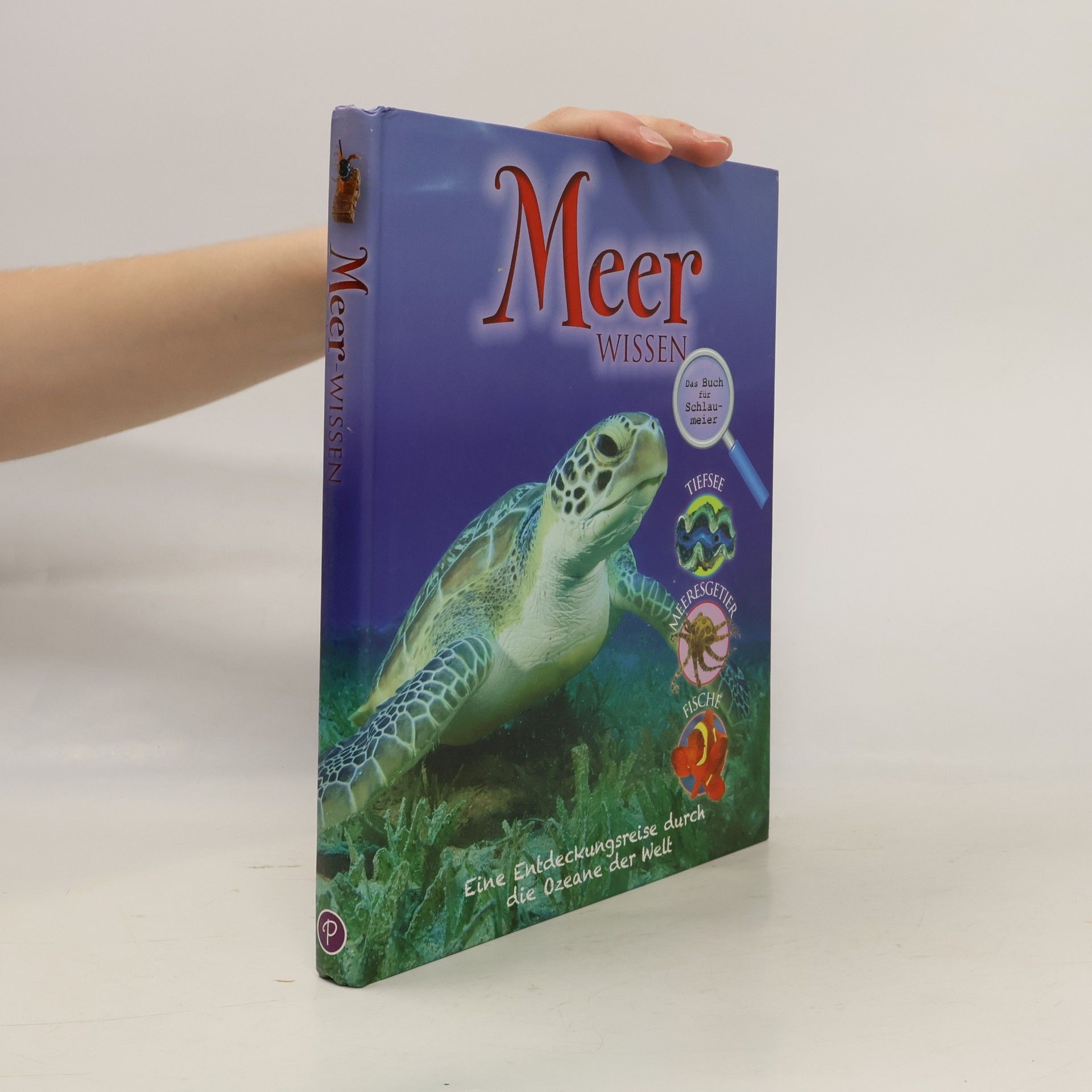 Autorenkollektiv Mädchen???