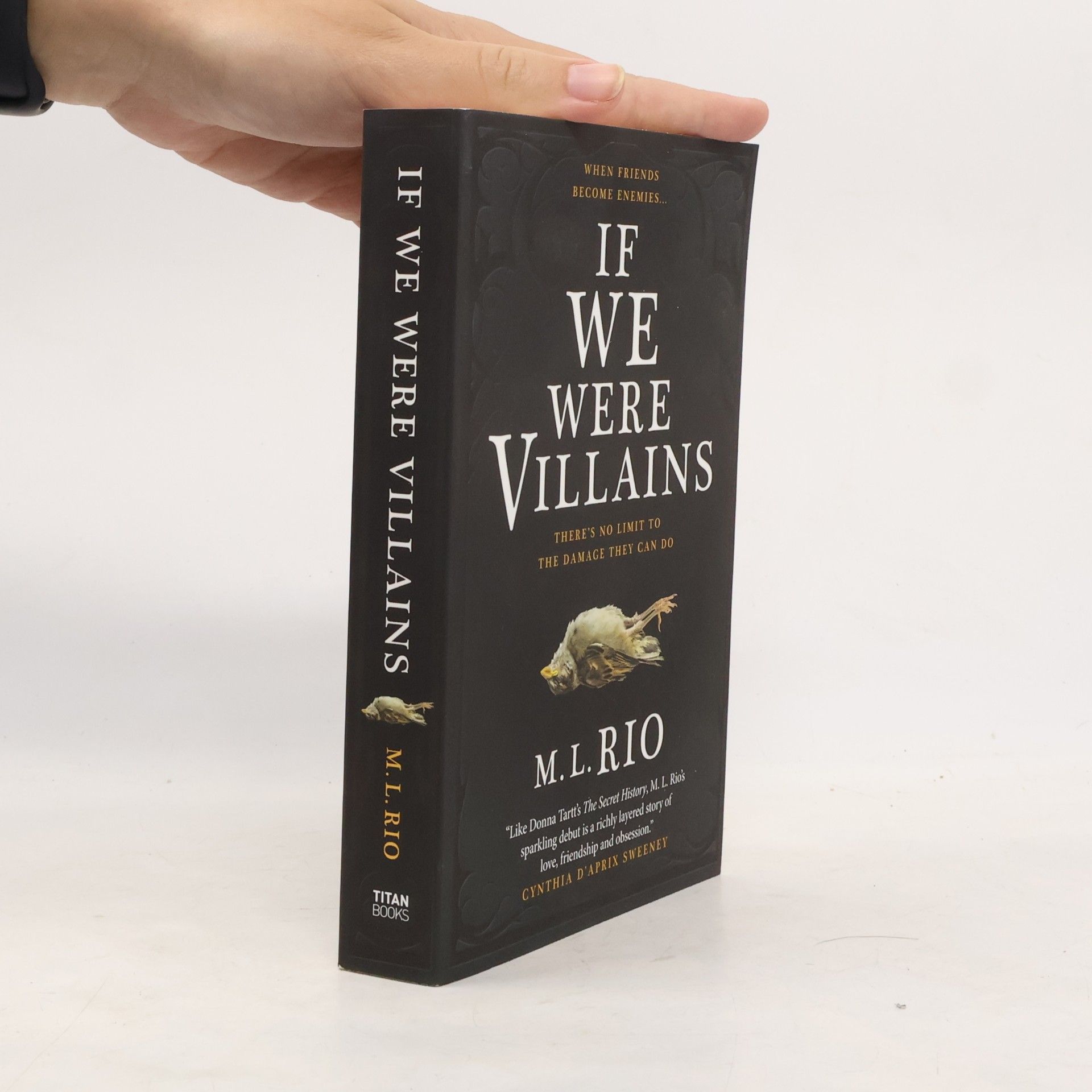M. L. Rio If We Were Villains