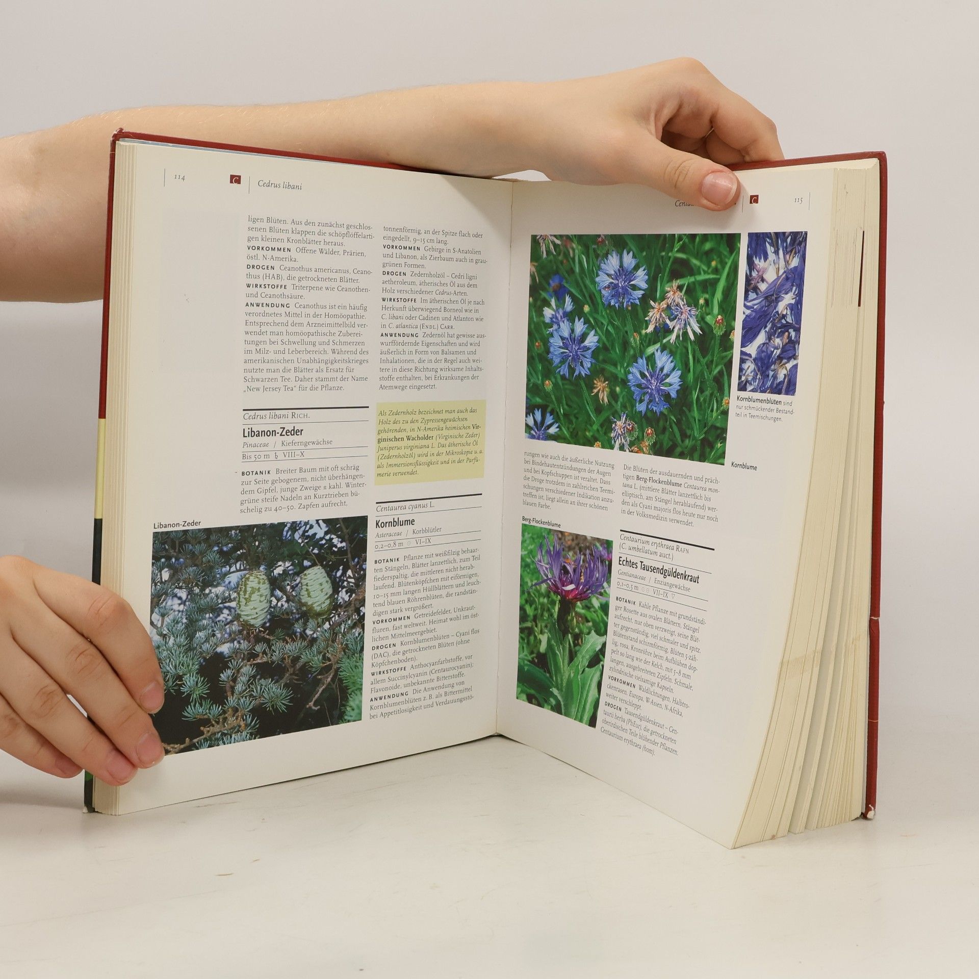 Peter Schönfelder Das neue Handbuch der Heilpflanzen