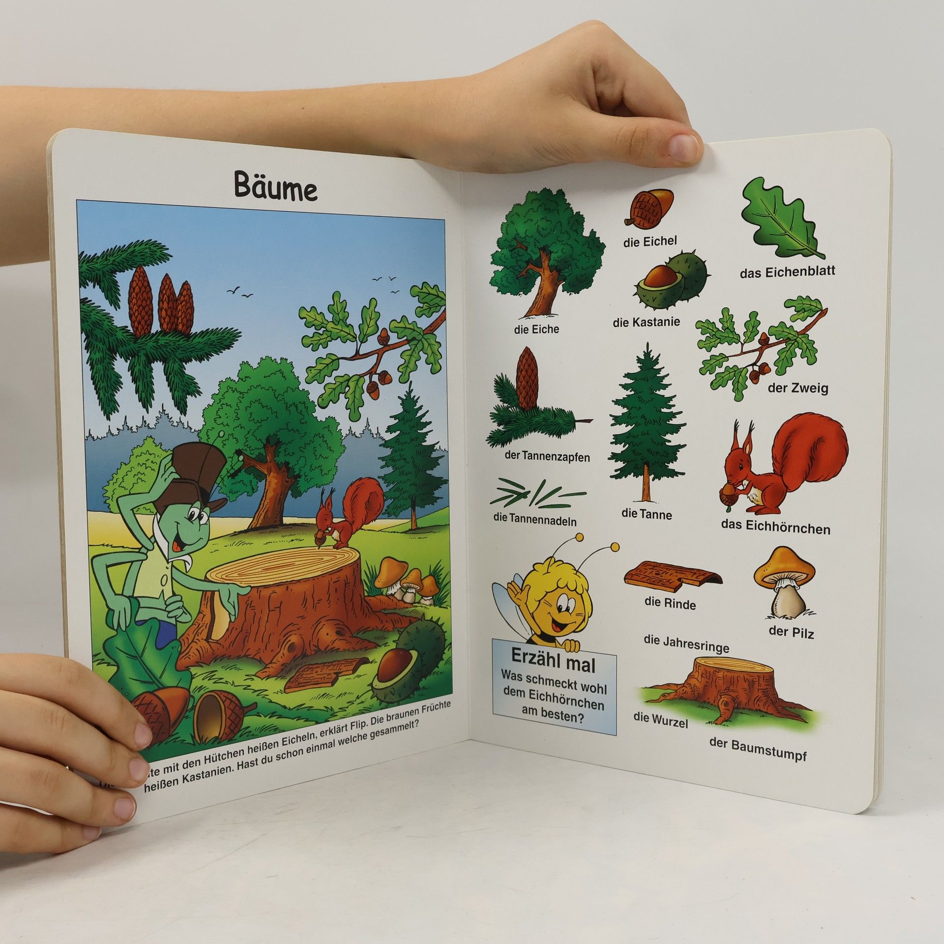 AA.VV. Mein Bildwörterbuch