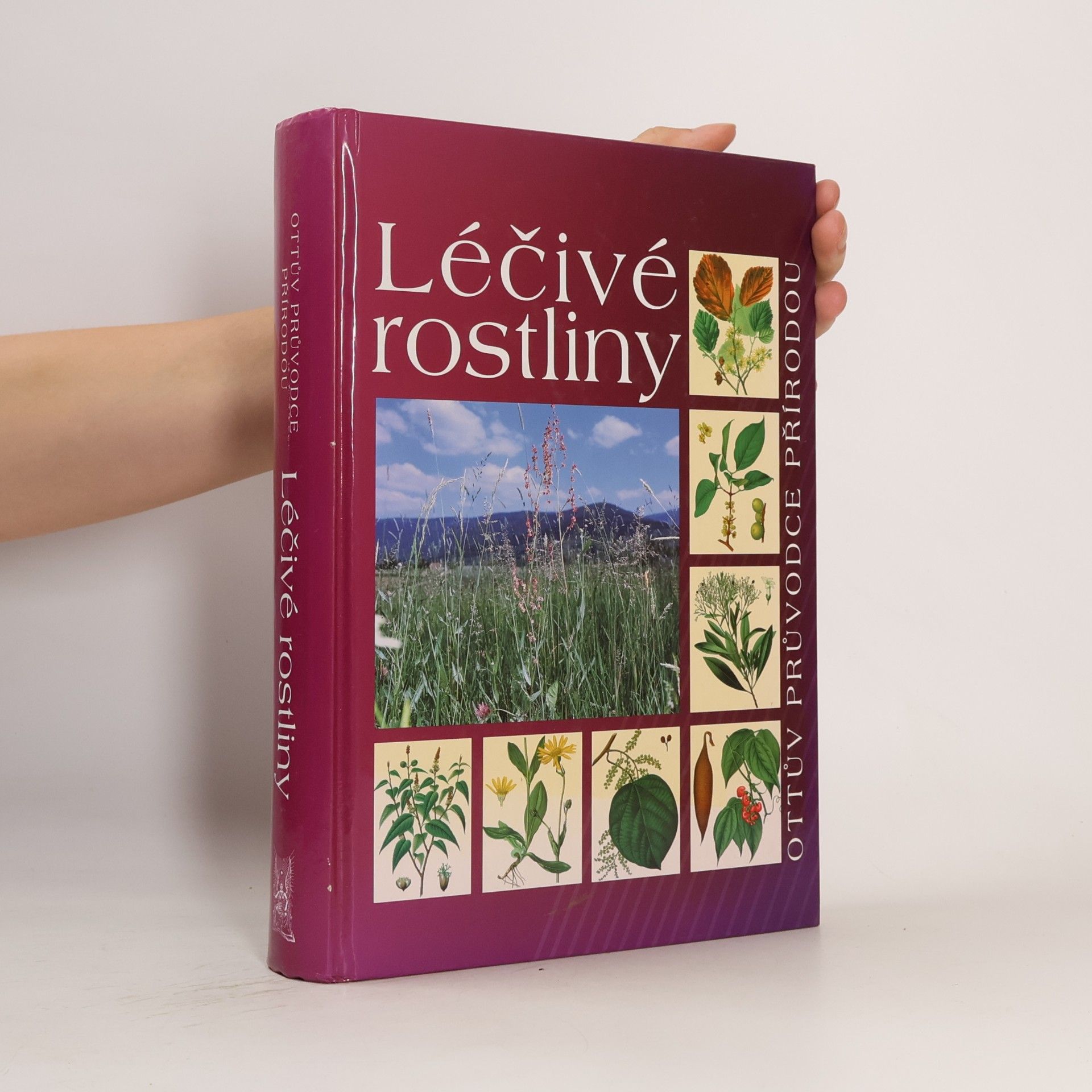 Peter Schönfelder Léčivé rostliny
