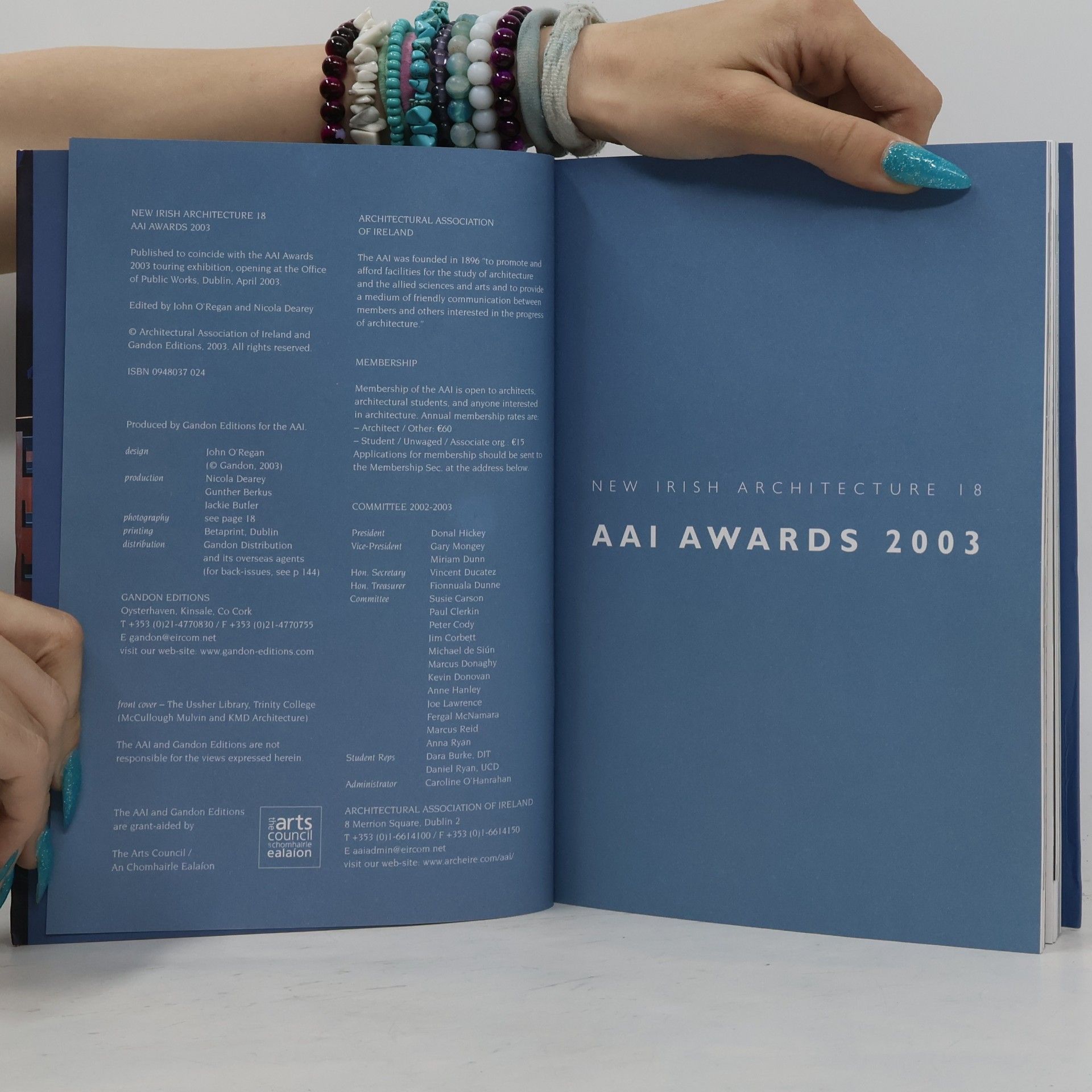 AAI Awards 2003