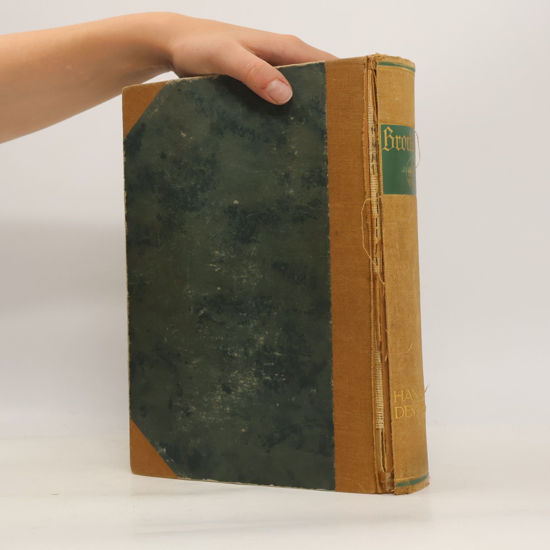Kolektiv autorů Brockhaus. Handbuch des Wissens IV (S-Z)