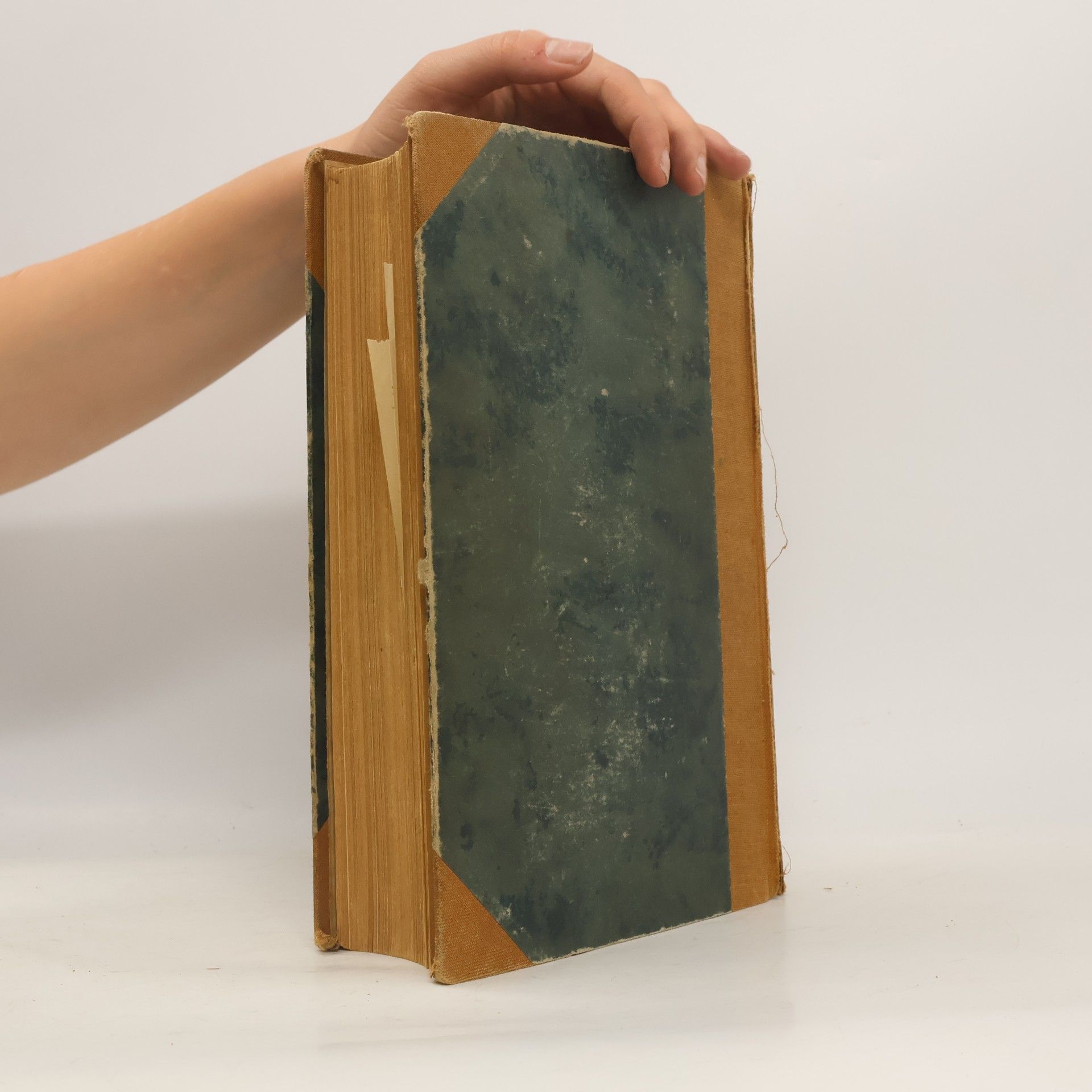 Kolektiv autorů Brockhaus. Handbuch des Wissens IV (S-Z)