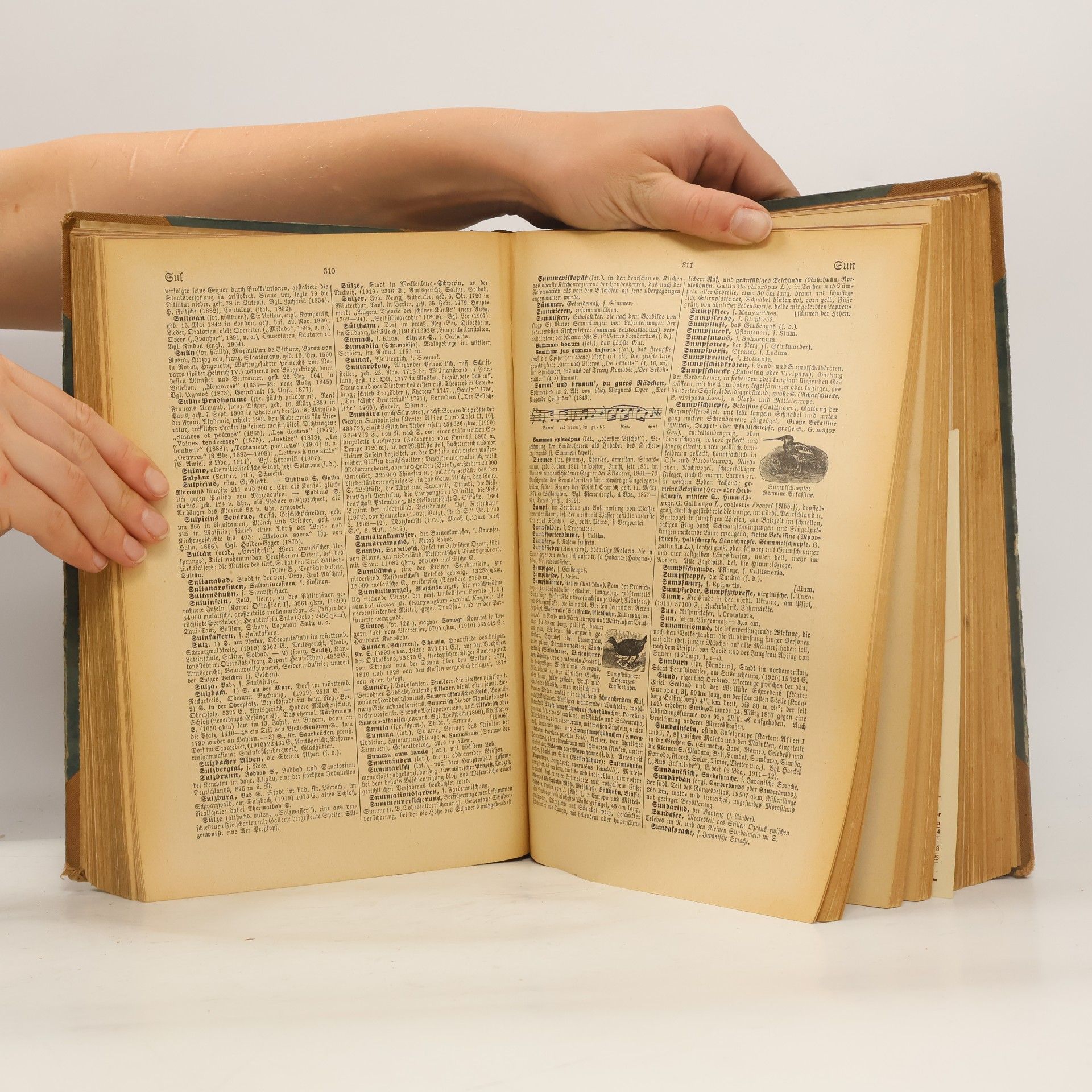 Kolektiv autorů Brockhaus. Handbuch des Wissens IV (S-Z)