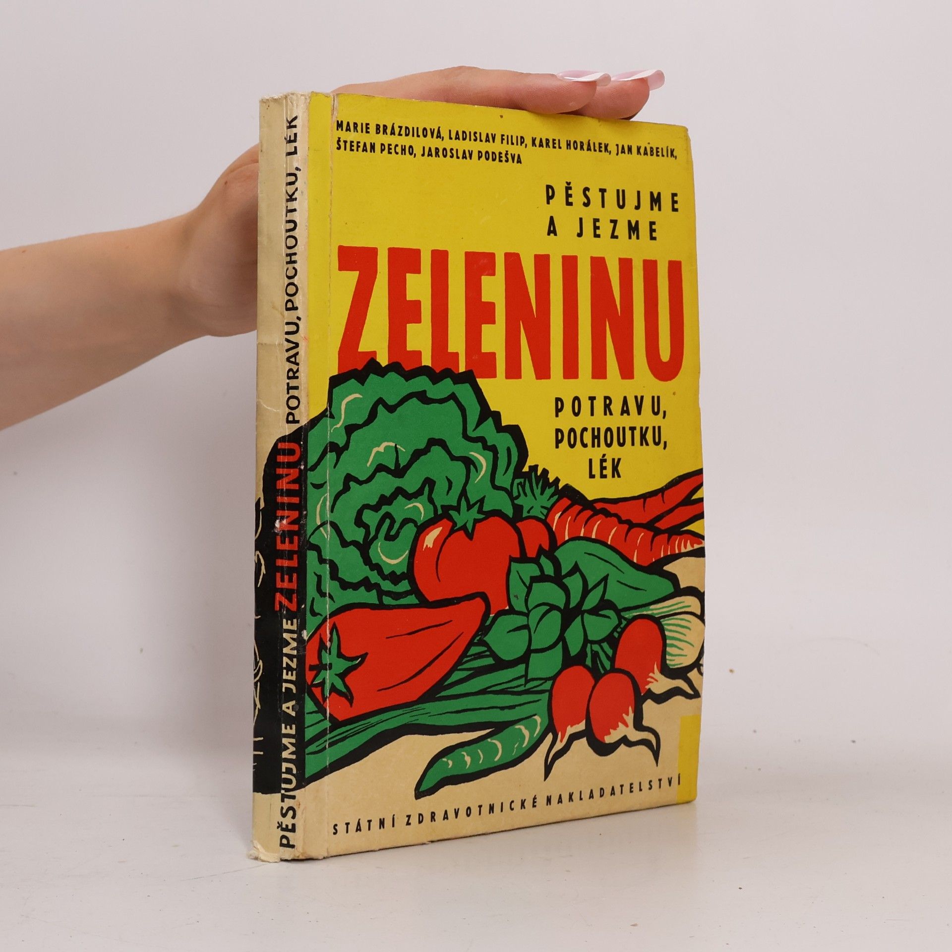 Štefan Pecho Pěstujme a jezme zeleninu. Potravu, pochoutku, lék