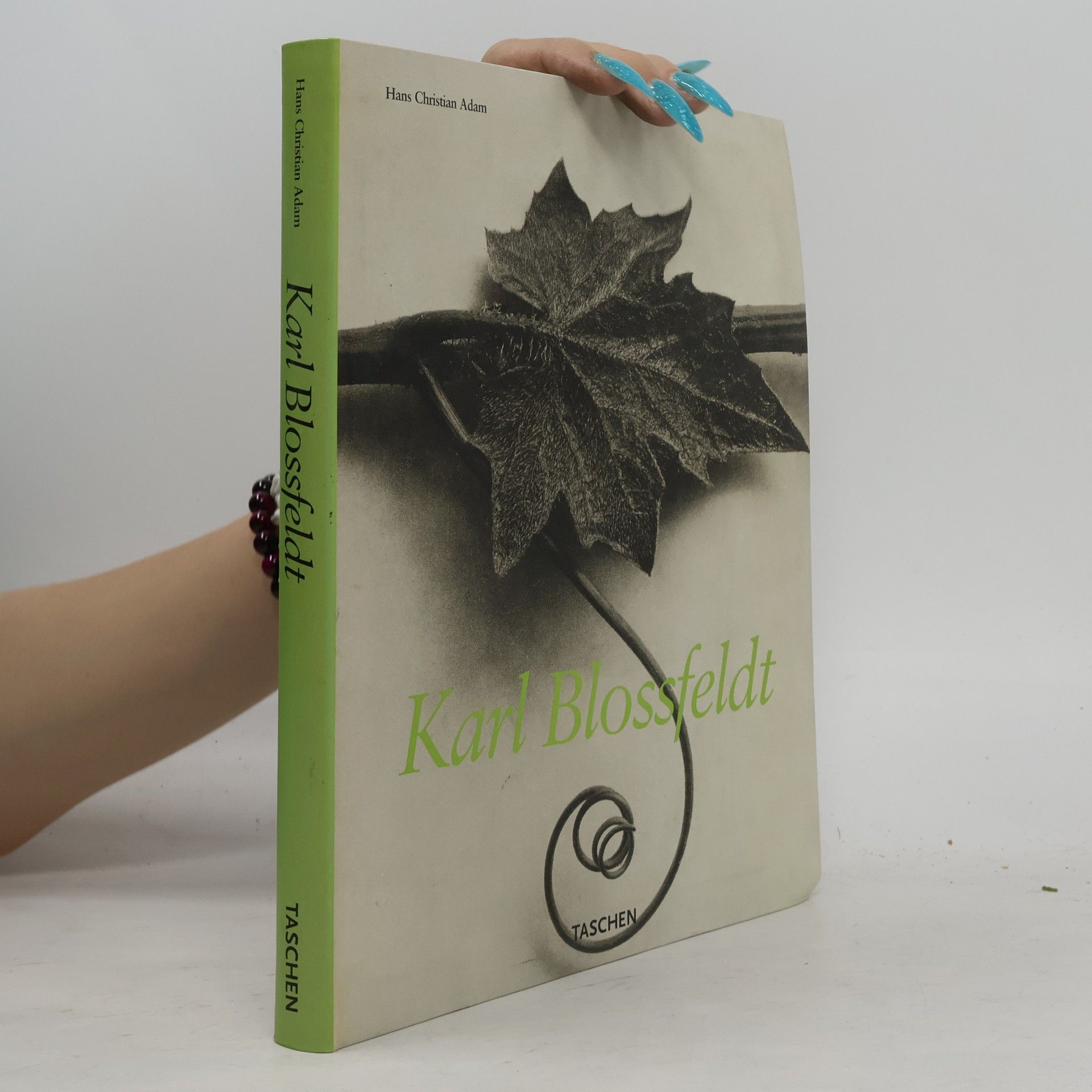 Karl Blossfeldt Karl Blossfeldt