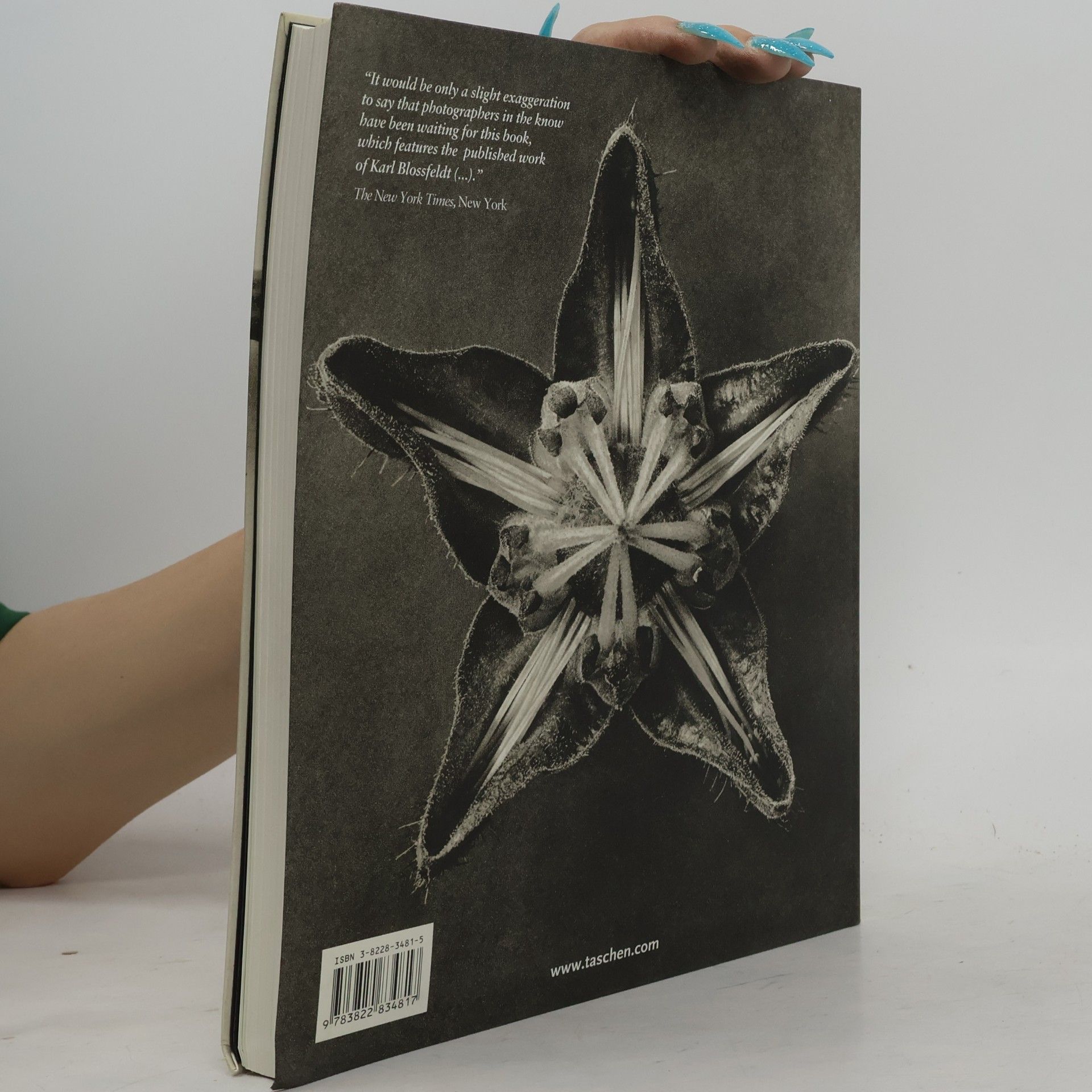Karl Blossfeldt Karl Blossfeldt