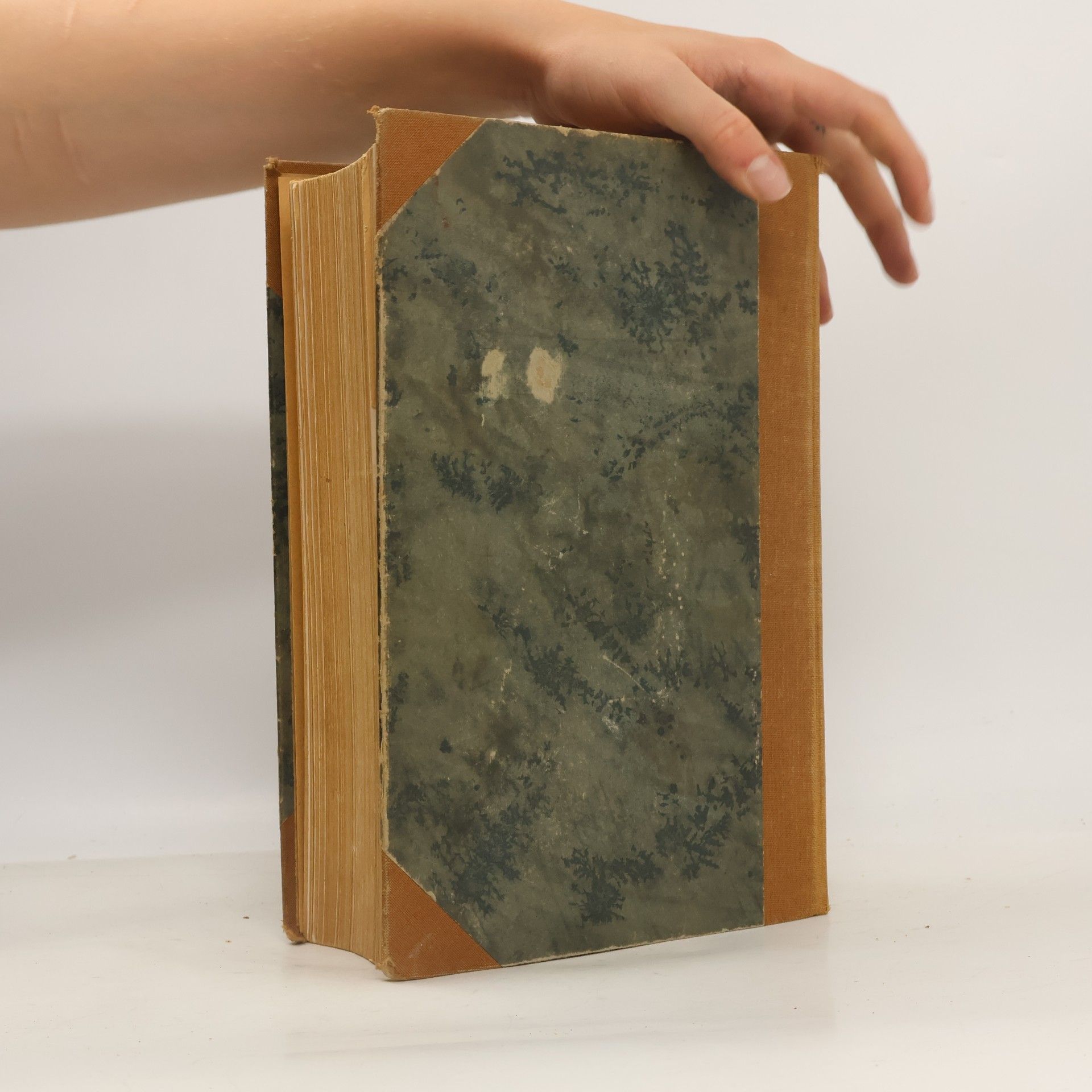 Kolektiv autorů Brockhaus Handbuch des Wissens: Zweiter Band