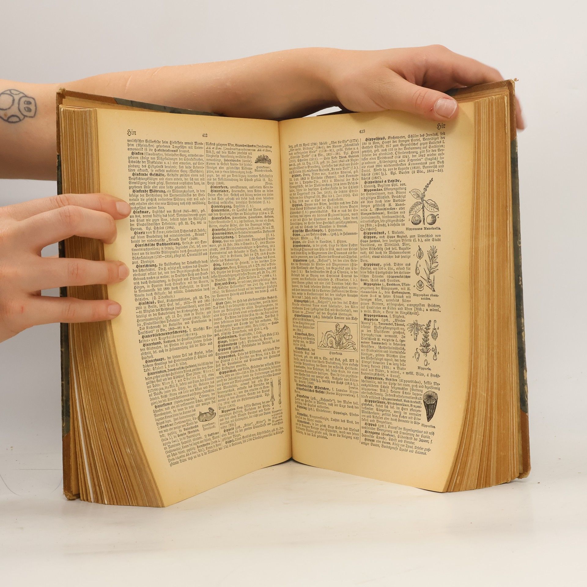 Kolektiv autorů Brockhaus Handbuch des Wissens: Zweiter Band