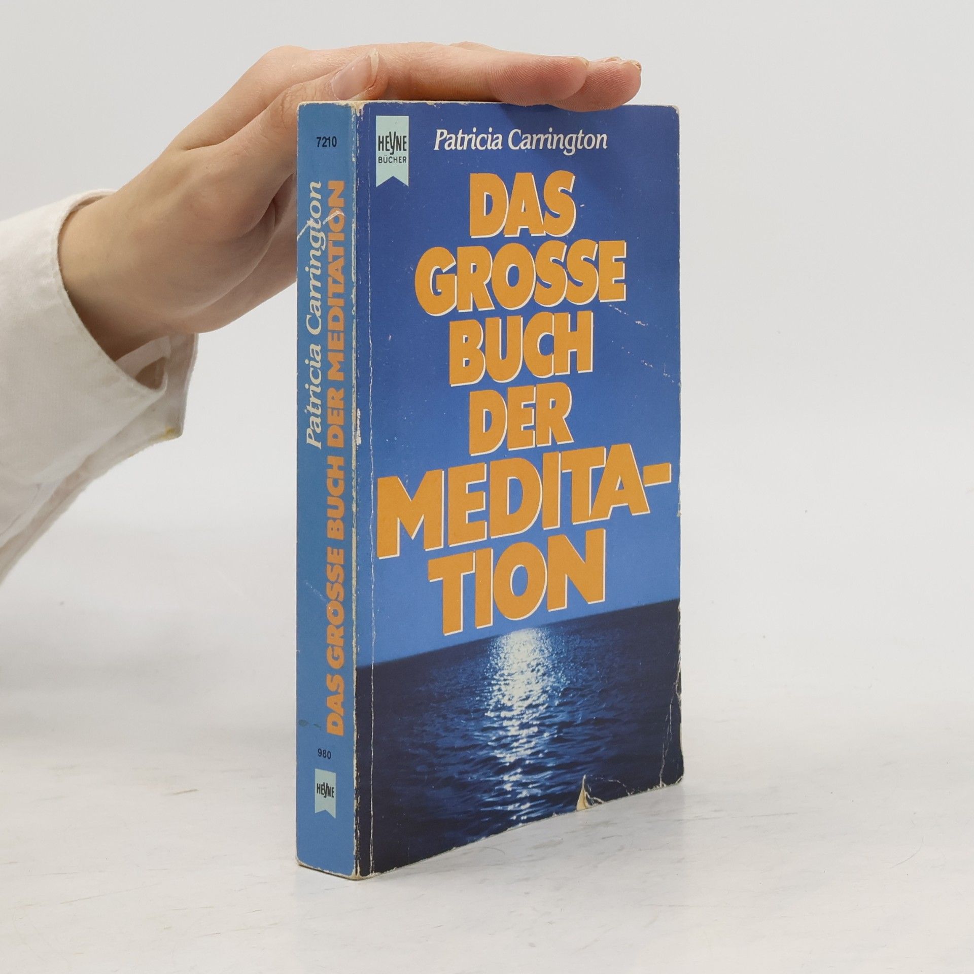 Patricia Carrington Das grosse Buch der Meditation