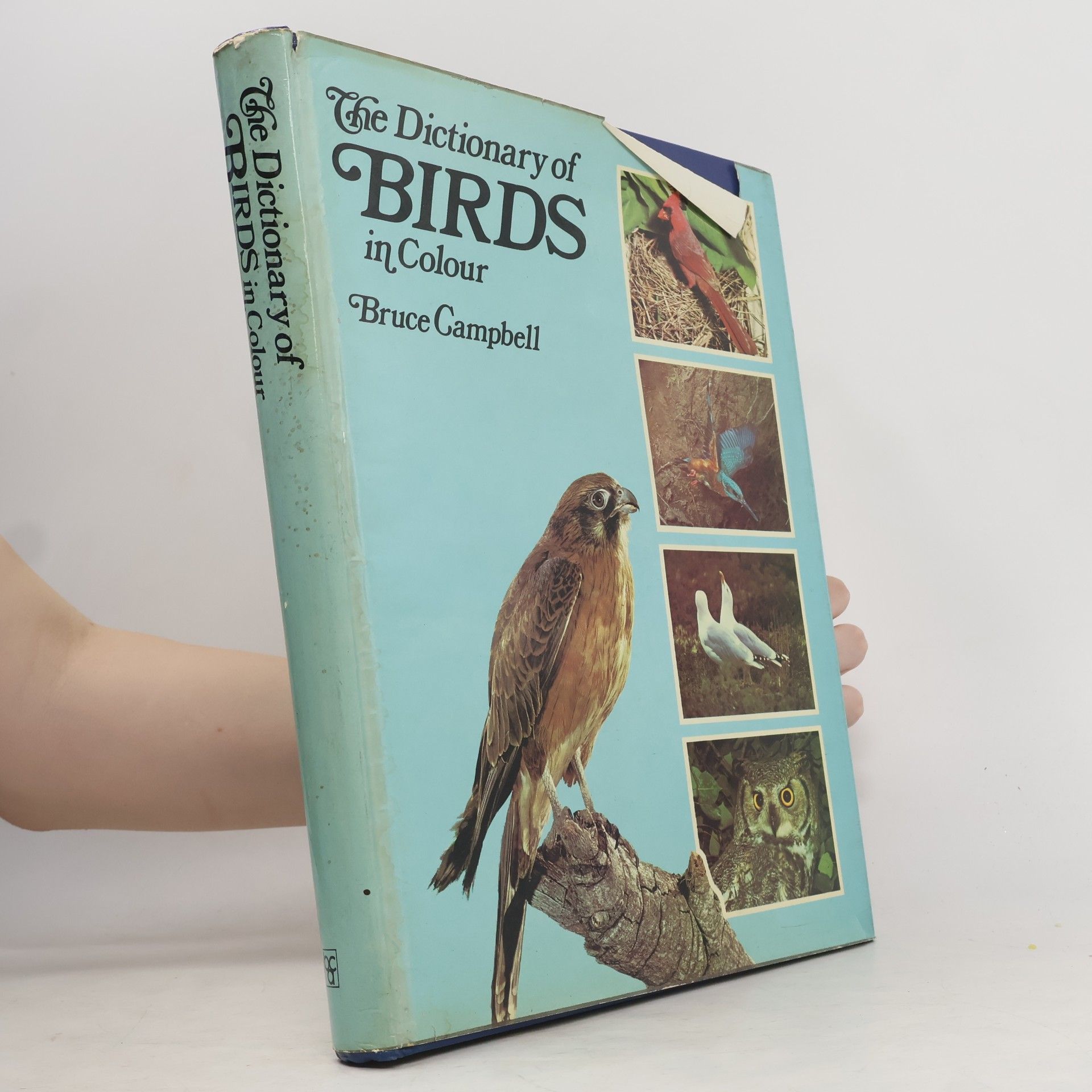 Bruce Campbell The Dictionary of Birds in Colour