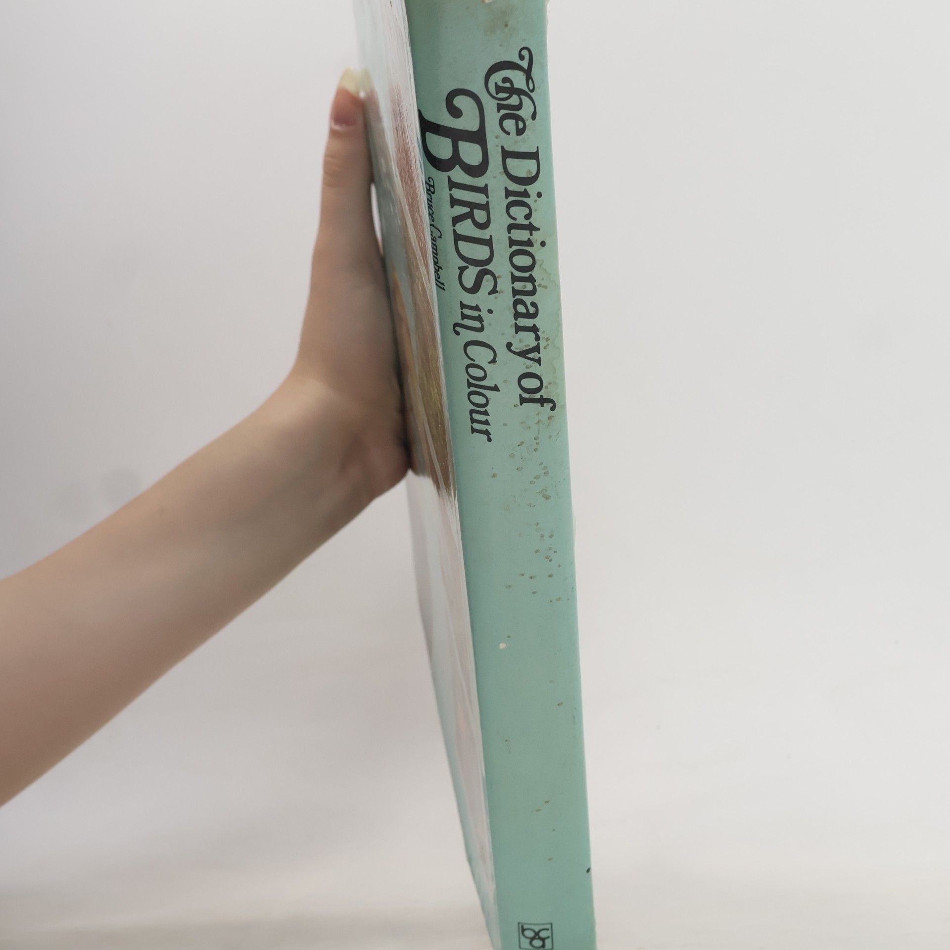 Bruce Campbell The Dictionary of Birds in Colour