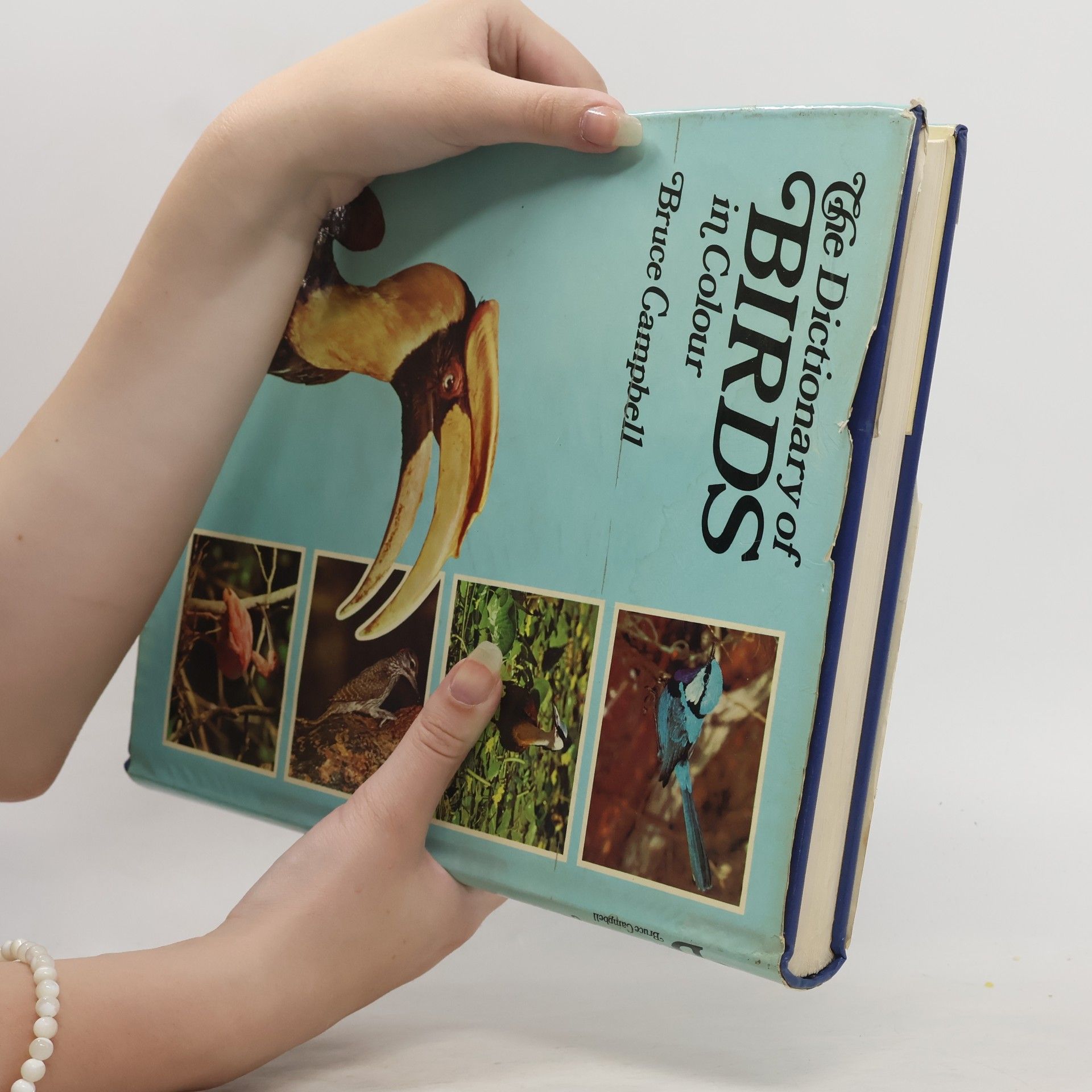Bruce Campbell The Dictionary of Birds in Colour