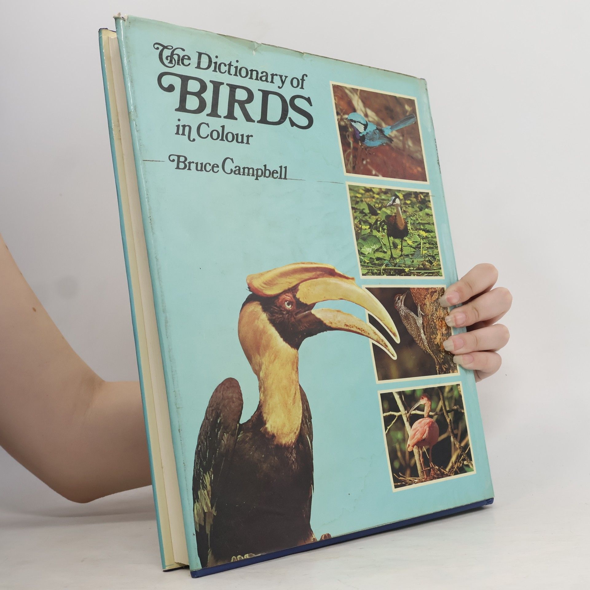 Bruce Campbell The Dictionary of Birds in Colour