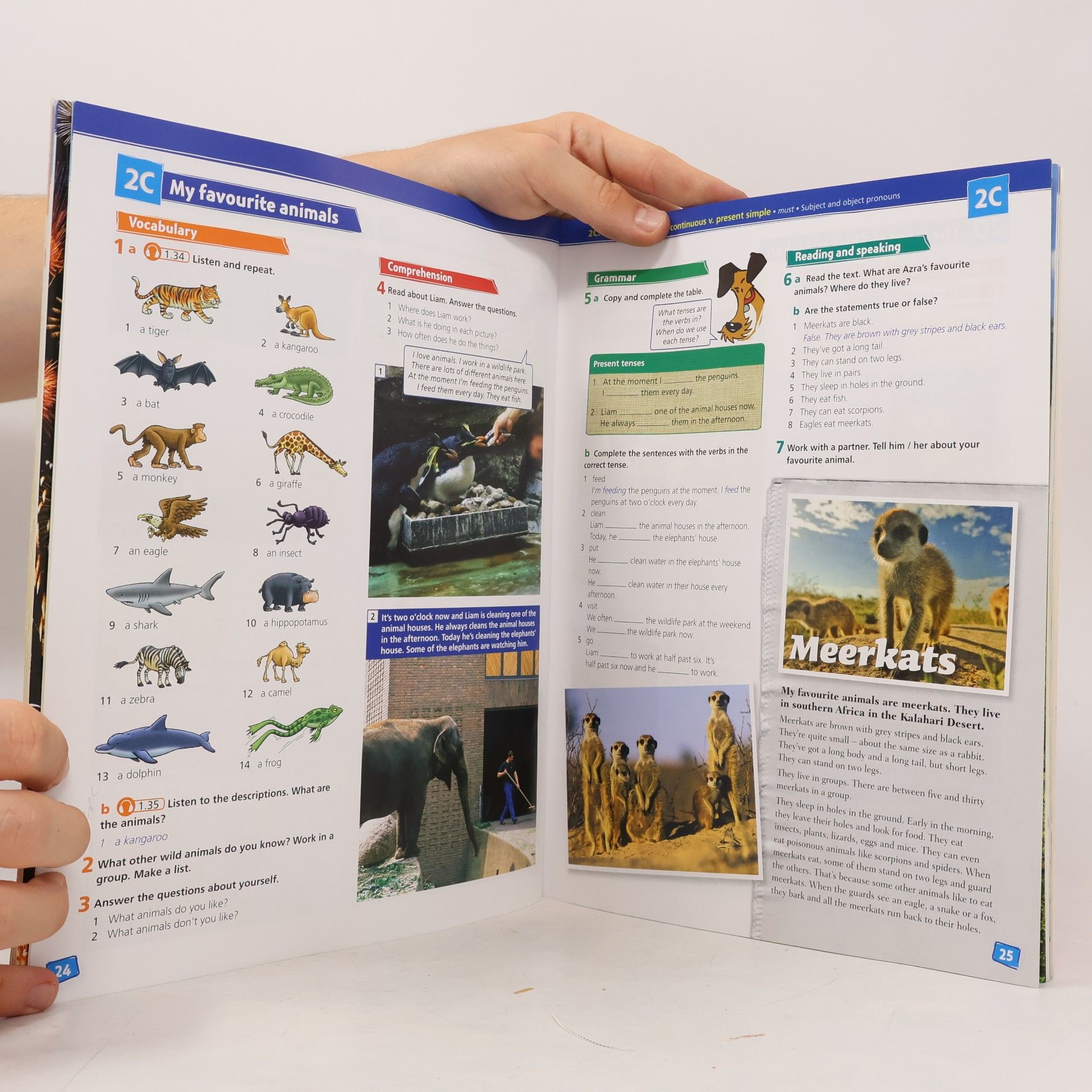 Tom Hutchinson Project 2 Student´s Book 4th (International English Version)